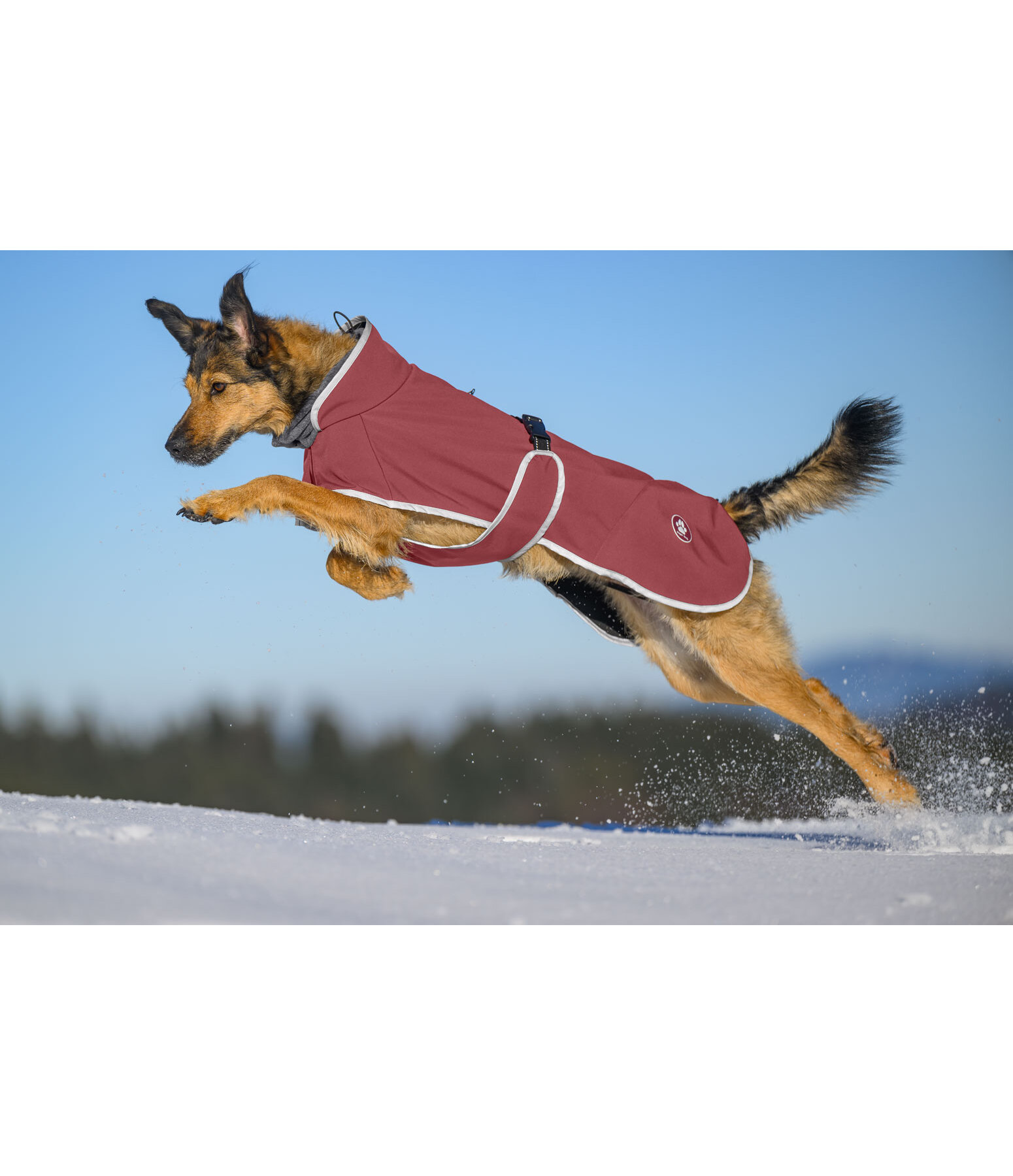 softshell hondenjas met fleecekraag Frida