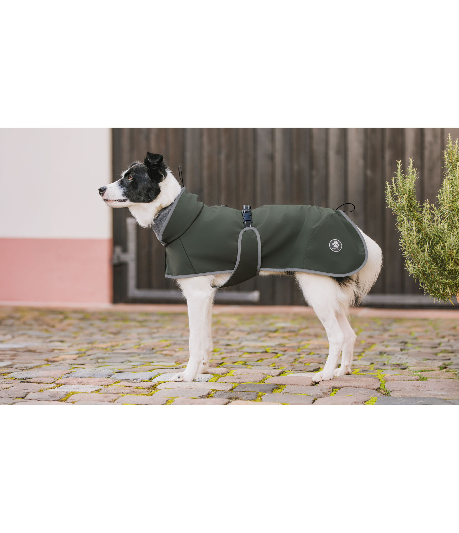 softshell hondenjas met fleecekraag Frida