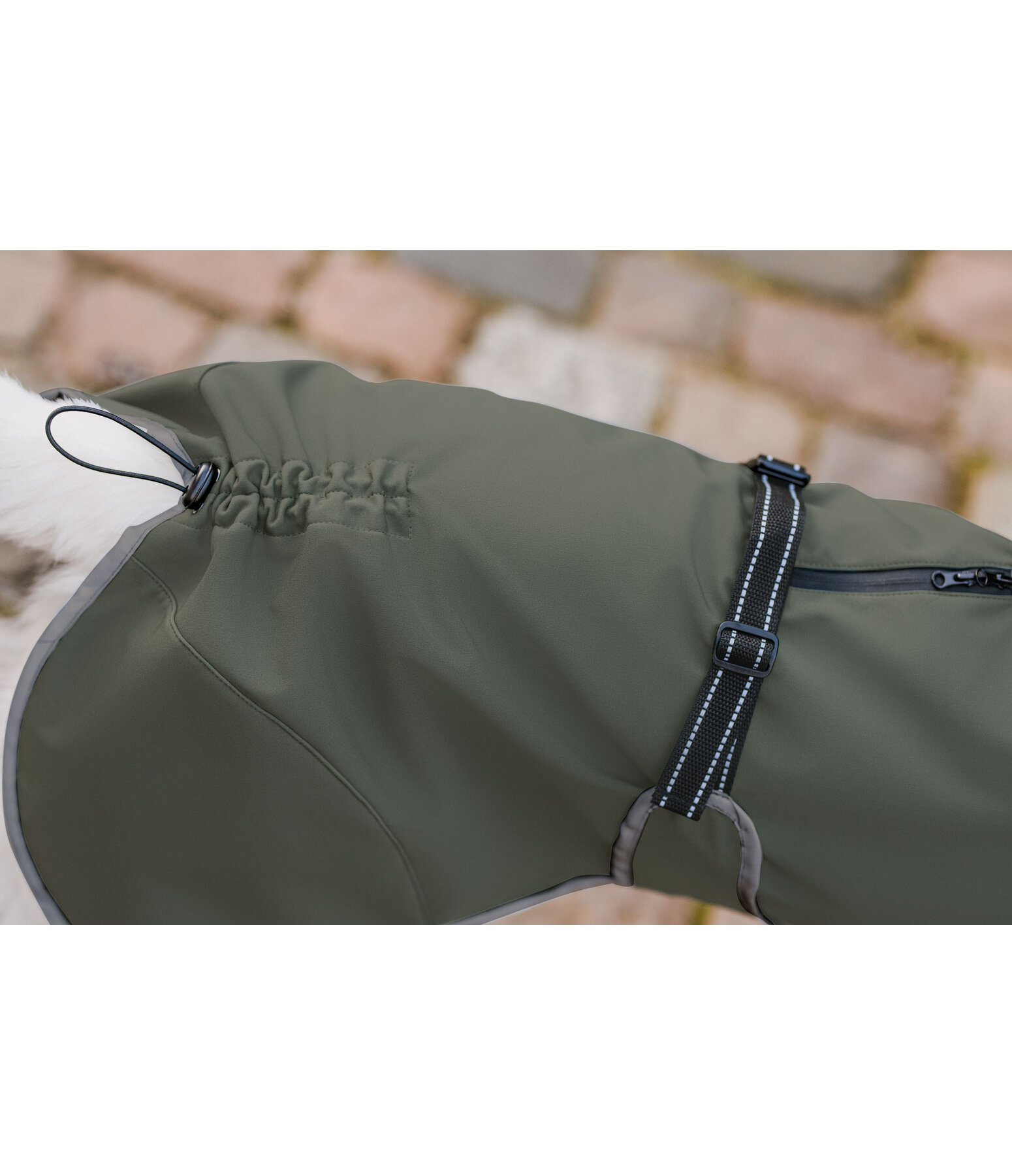 softshell hondenjas met fleecekraag Frida