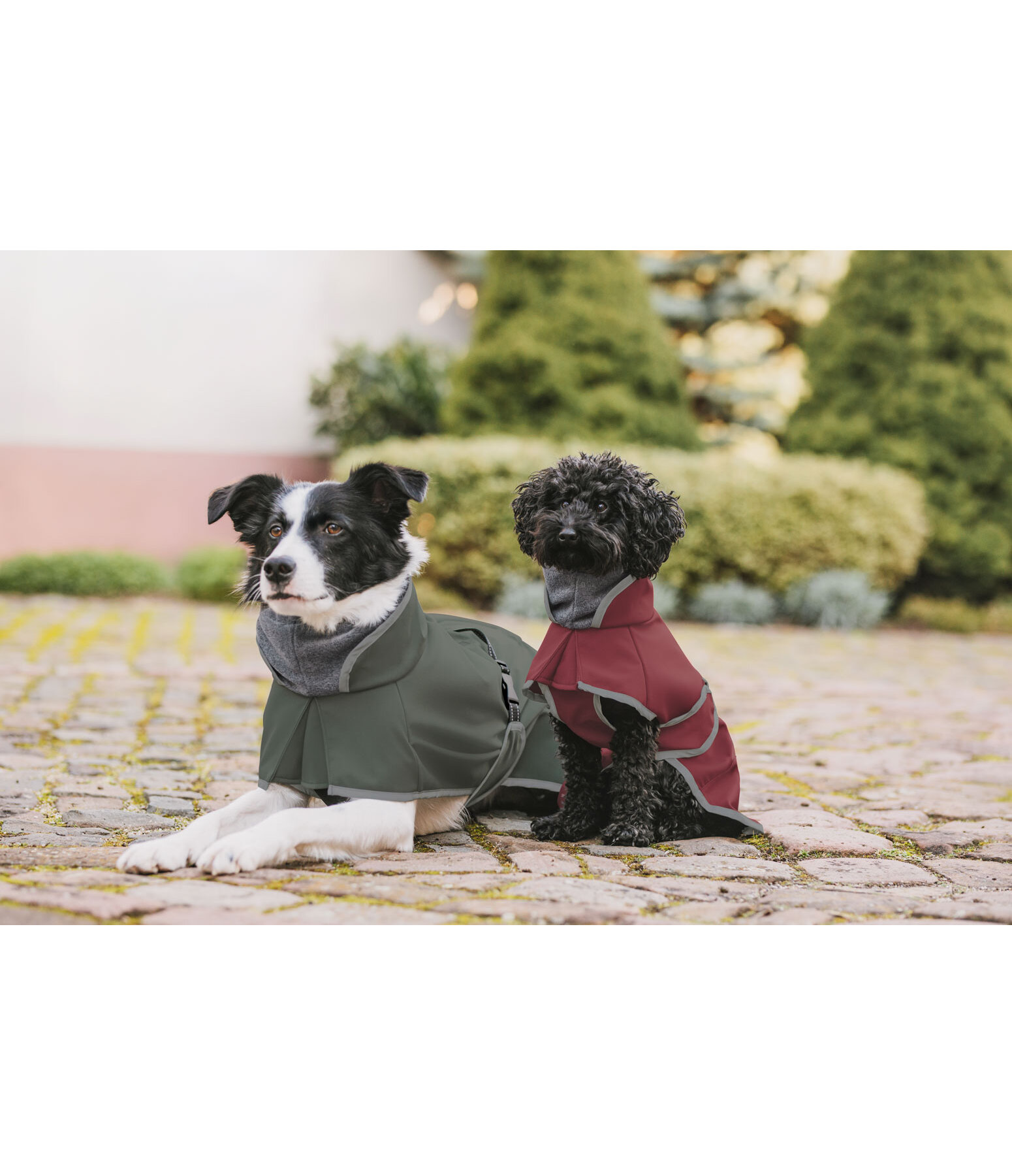 softshell hondenjas met fleecekraag Frida