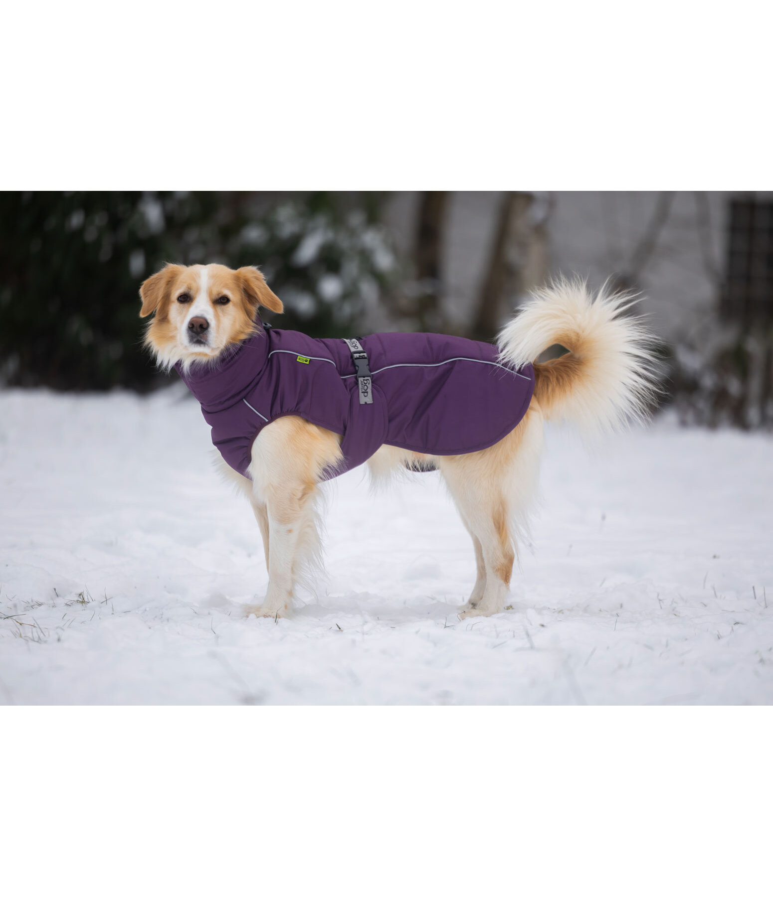 Winter-hondenmantel Marlon, 200-300 g