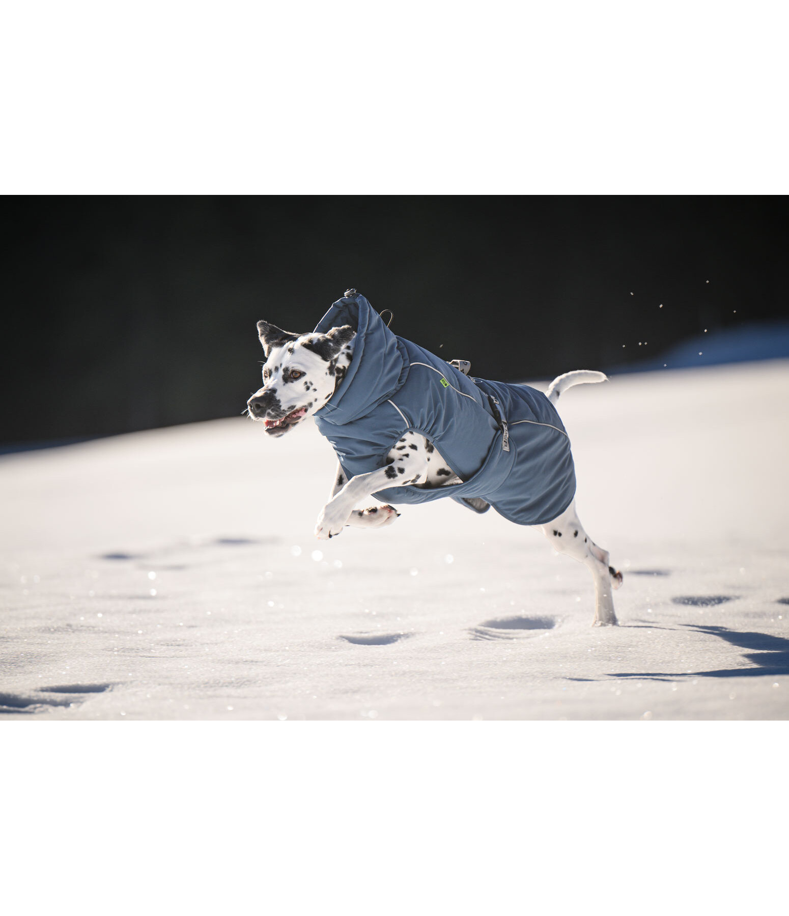 Winter-hondenmantel Marlon, 200-300 g