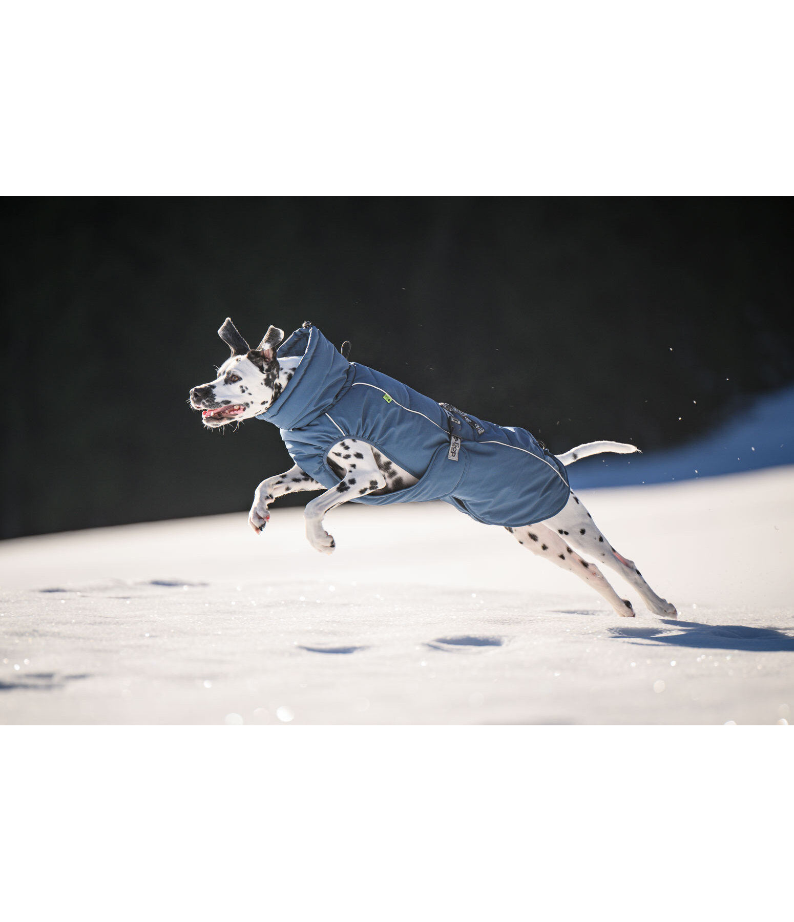 Winter-hondenmantel Marlon, 200-300 g