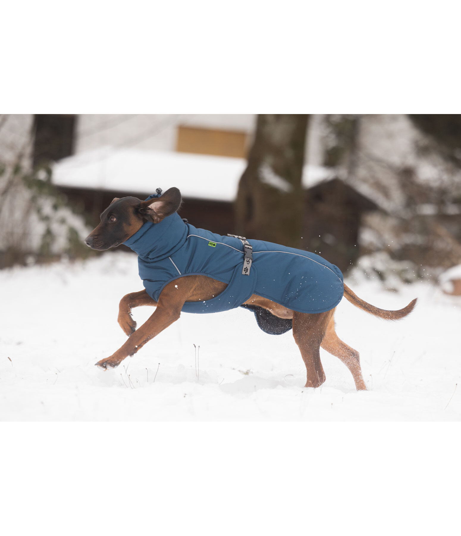Winter-hondenmantel Marlon, 200-300 g