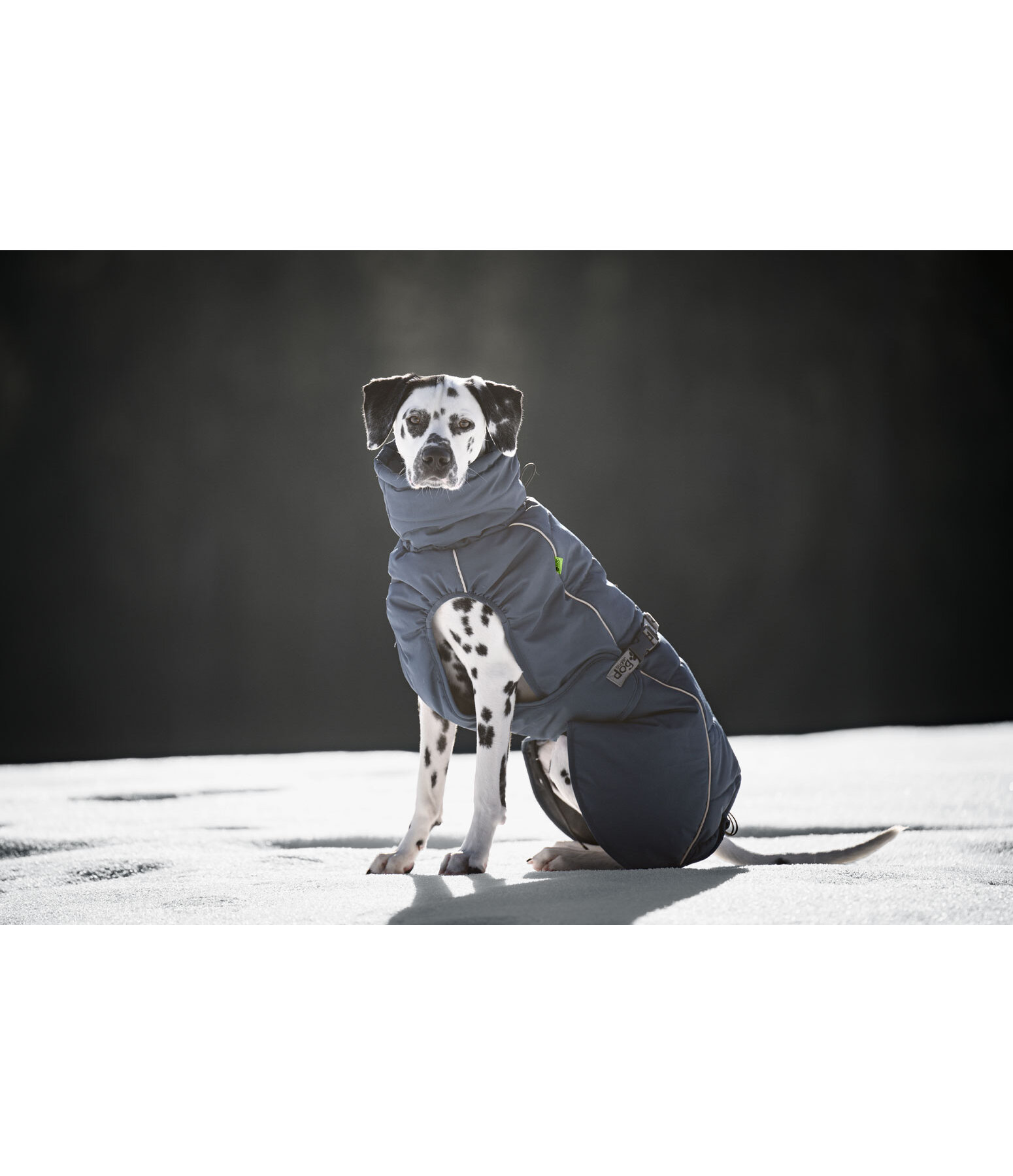 Winter-hondenmantel Marlon, 200-300 g