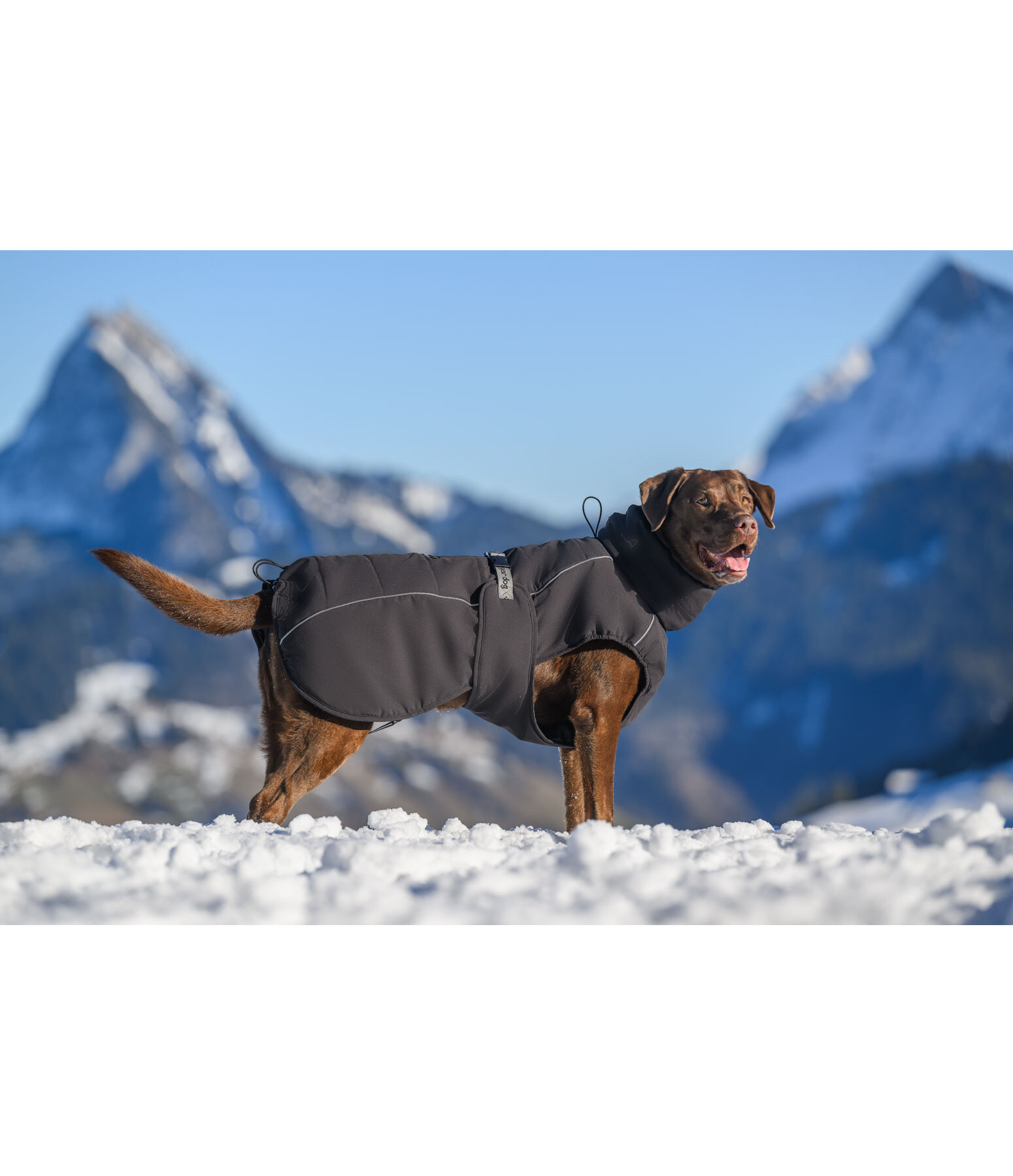 Winter-hondenmantel Marlon, 200-300 g