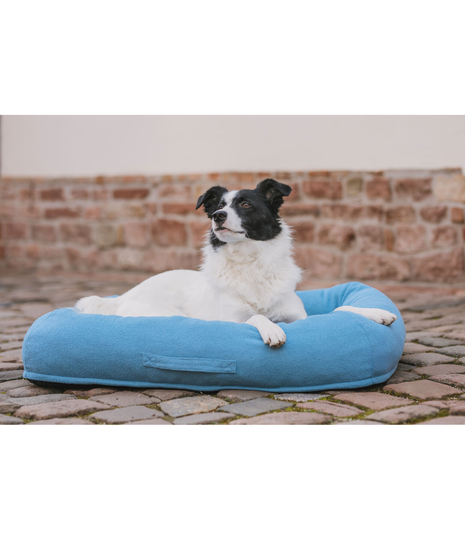 Sugar dog hondenbed Terry