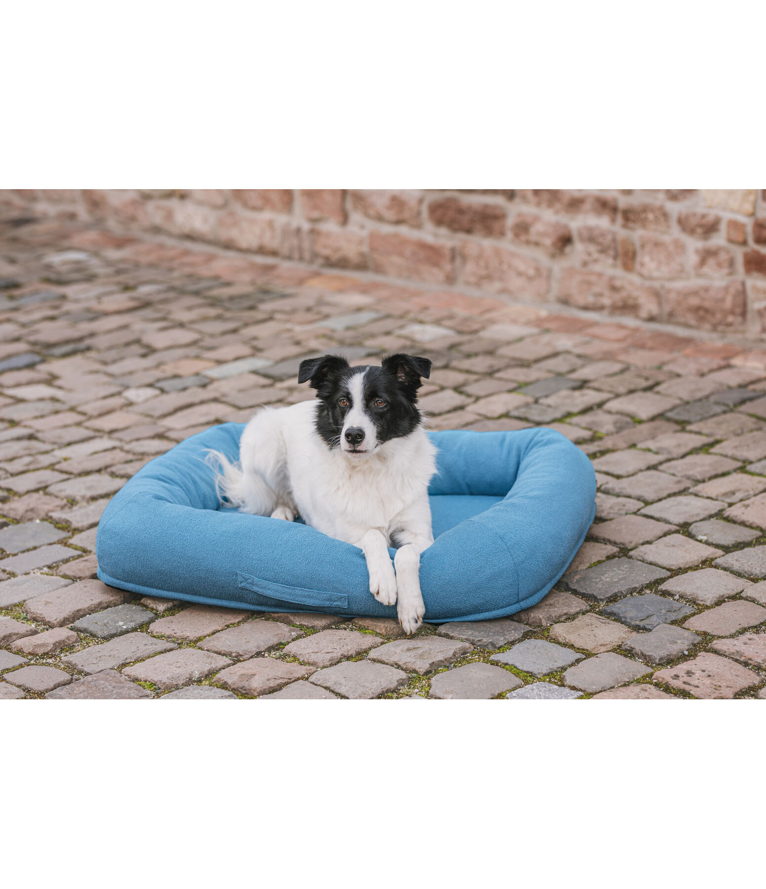 Sugar dog hondenbed Terry