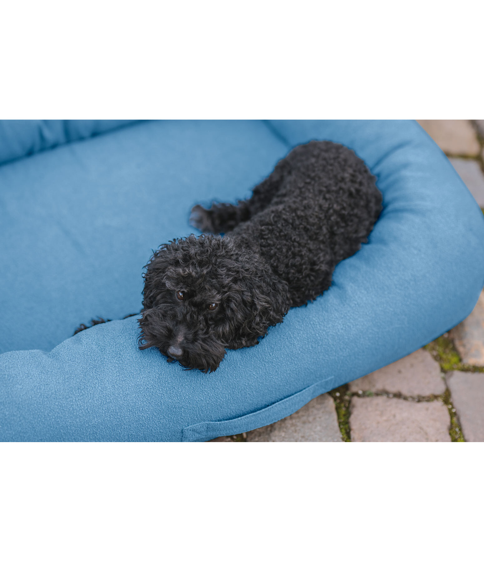 Sugar dog hondenbed Terry