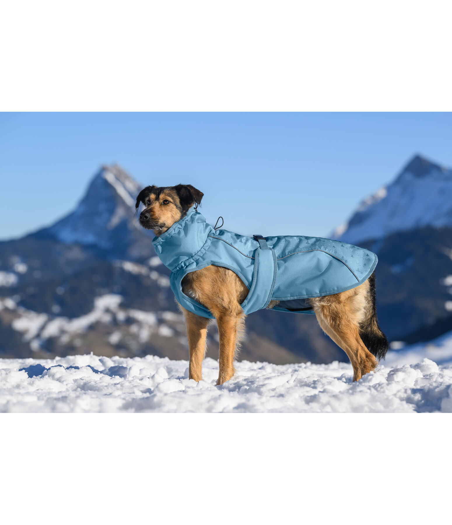 winter-hondenmantel Wonderland, 140 g