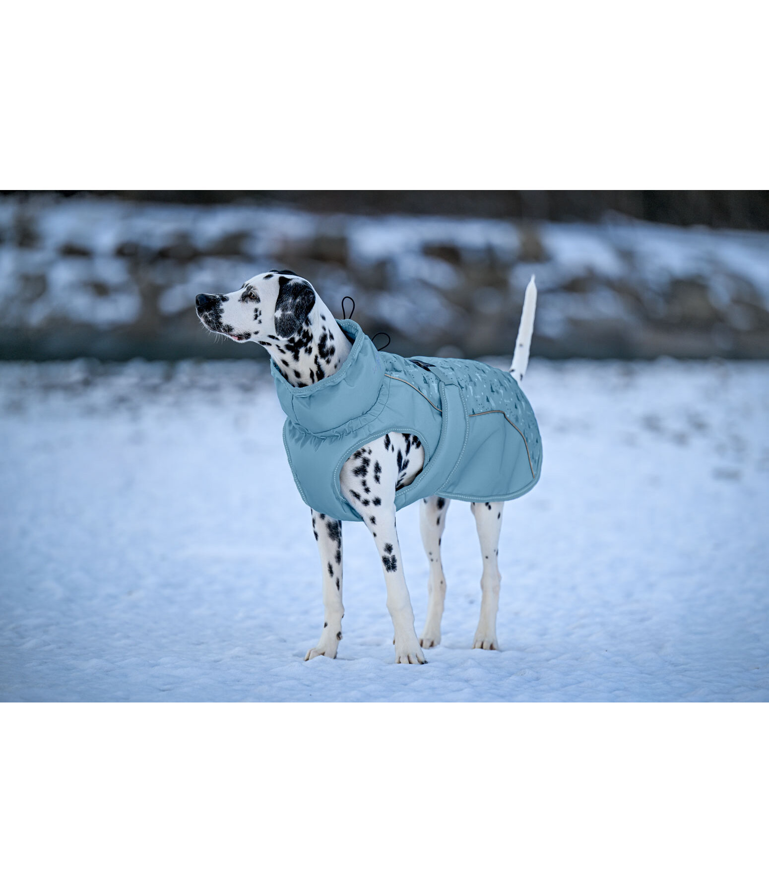 winter-hondenmantel Wonderland, 140 g