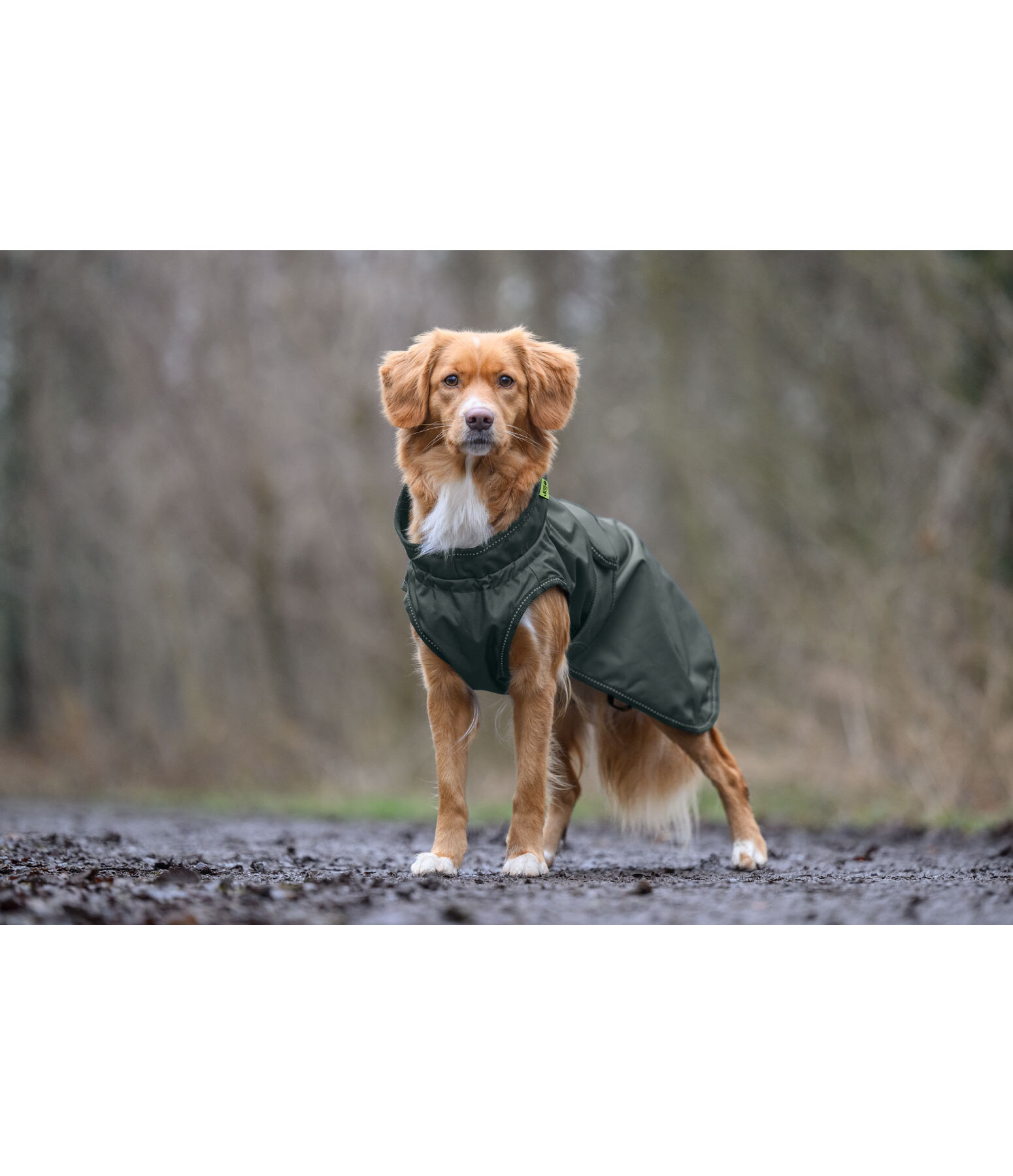 hondenregenmantel Forest Drizzle, 50 g