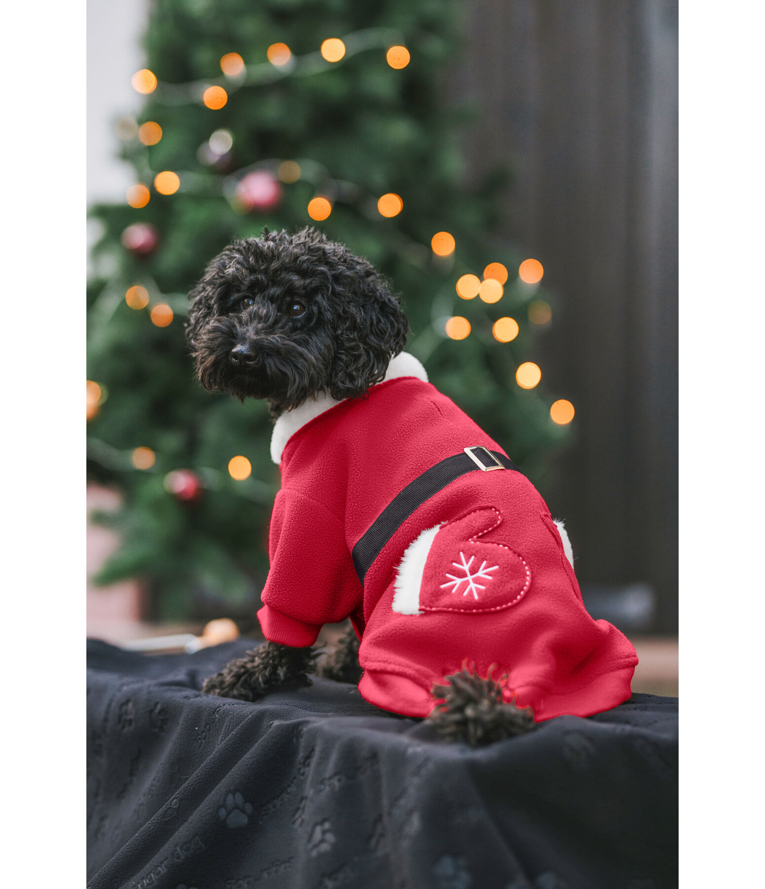 Sugar dog kerst fleecemantel Santa's Dream