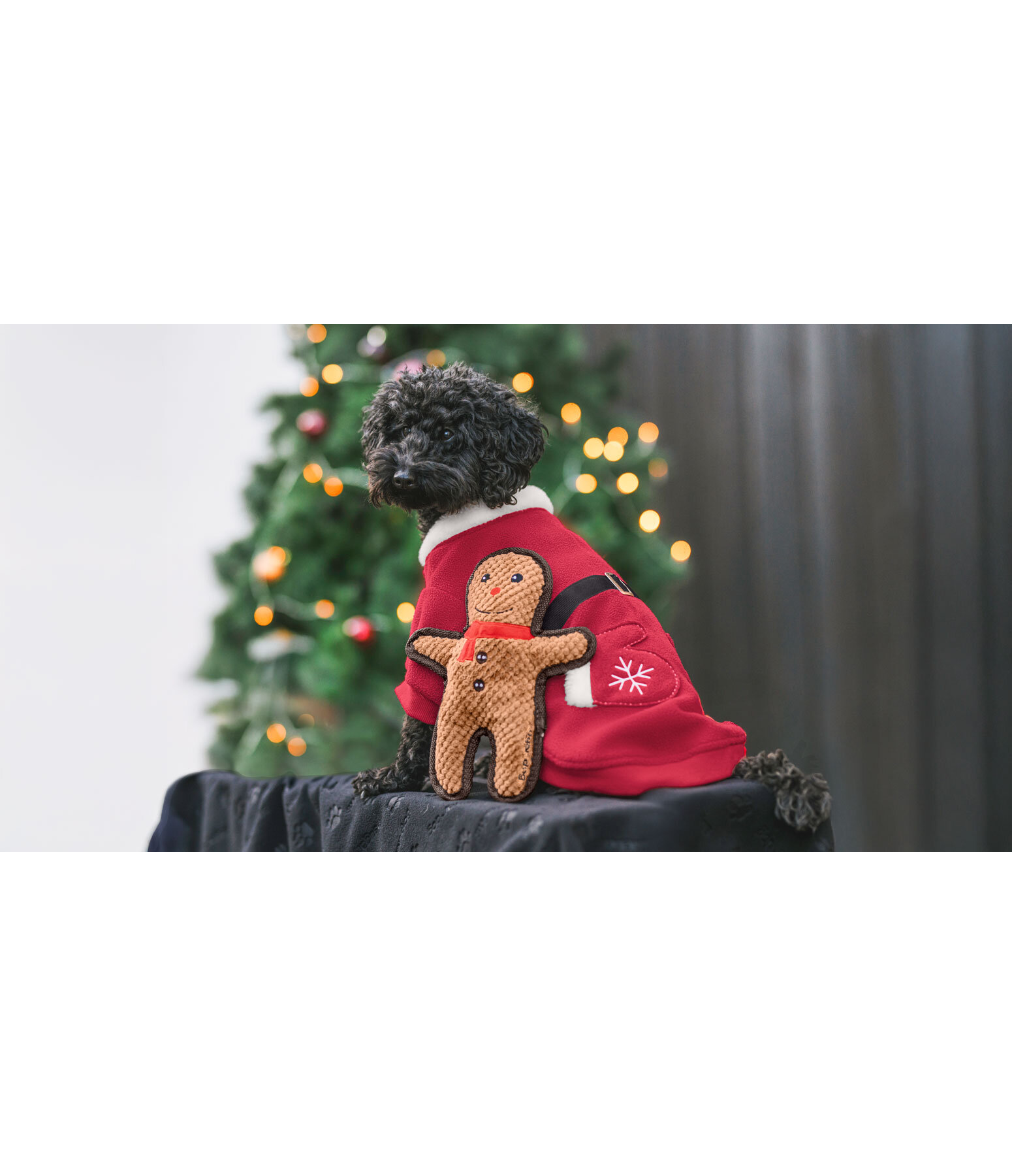 Sugar dog kerst fleecemantel Santa's Dream
