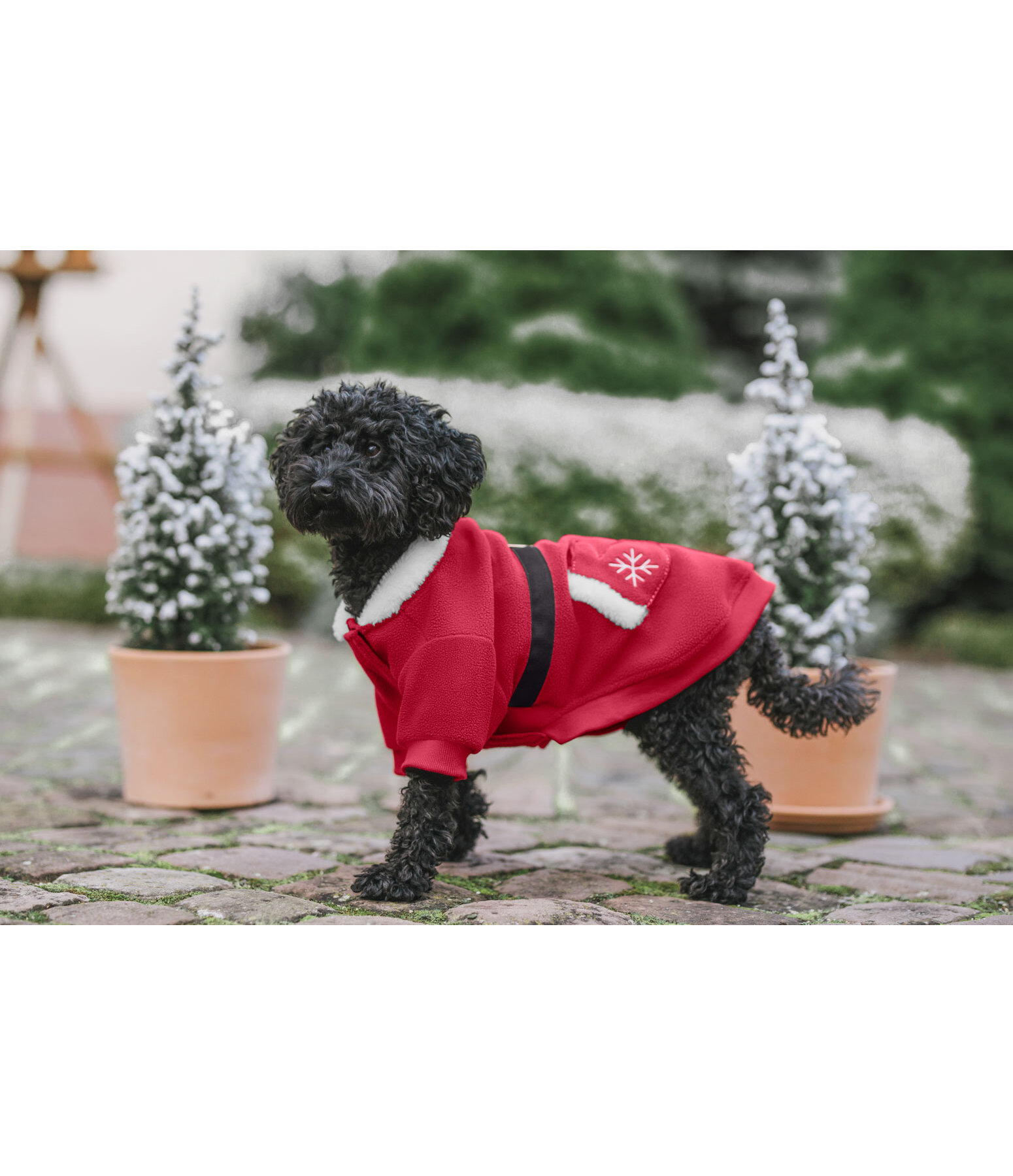 Sugar dog kerst fleecemantel Santa's Dream