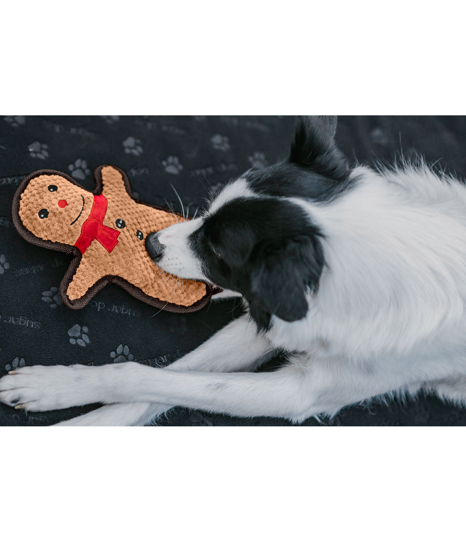 Sugar dog hondenspeeltje Gingerman