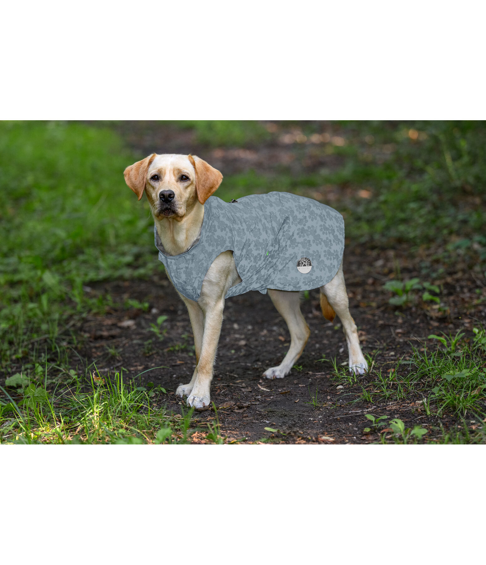 reflecterende regenjas To Go