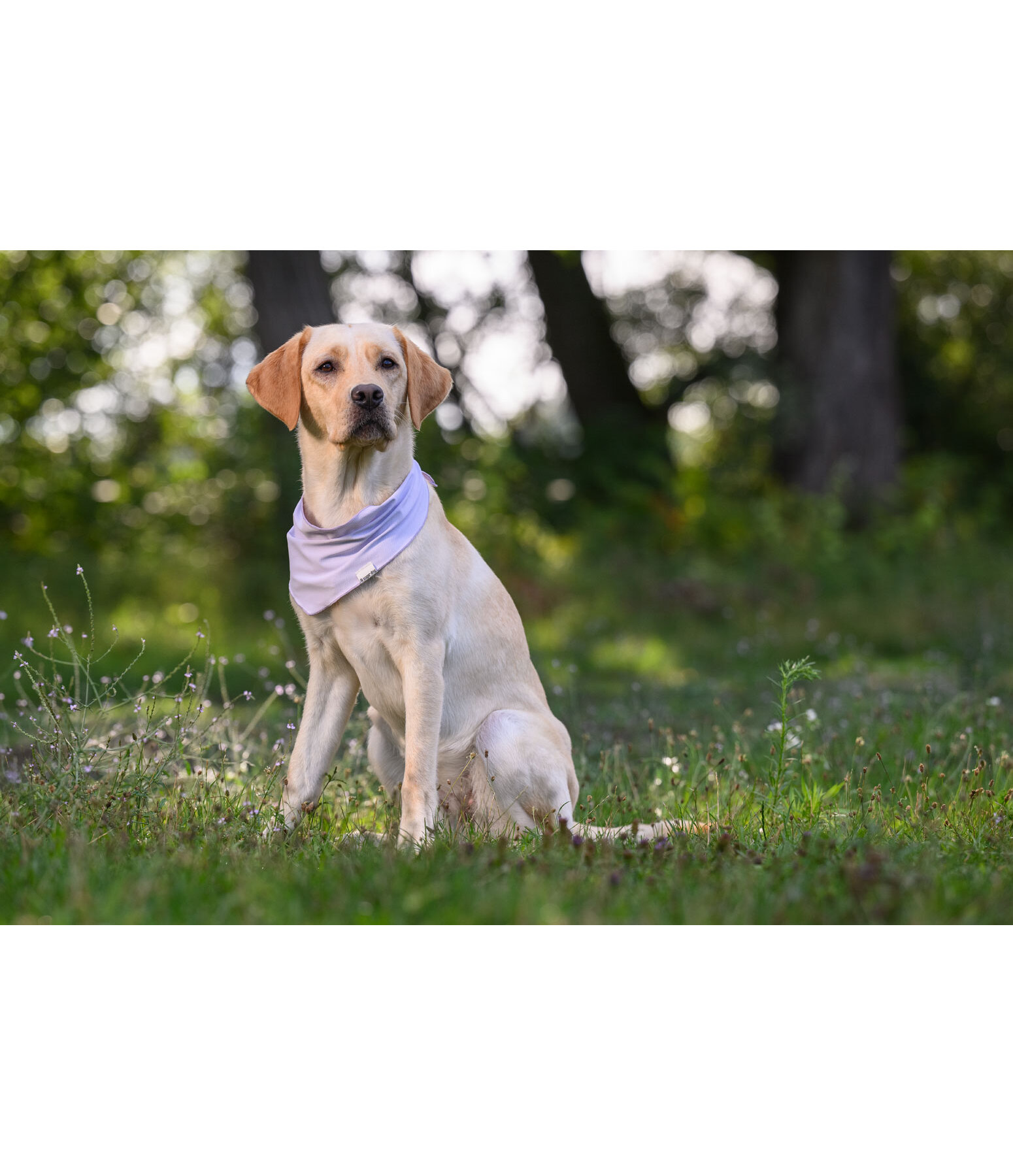 verkoelende halsdoek Frostie