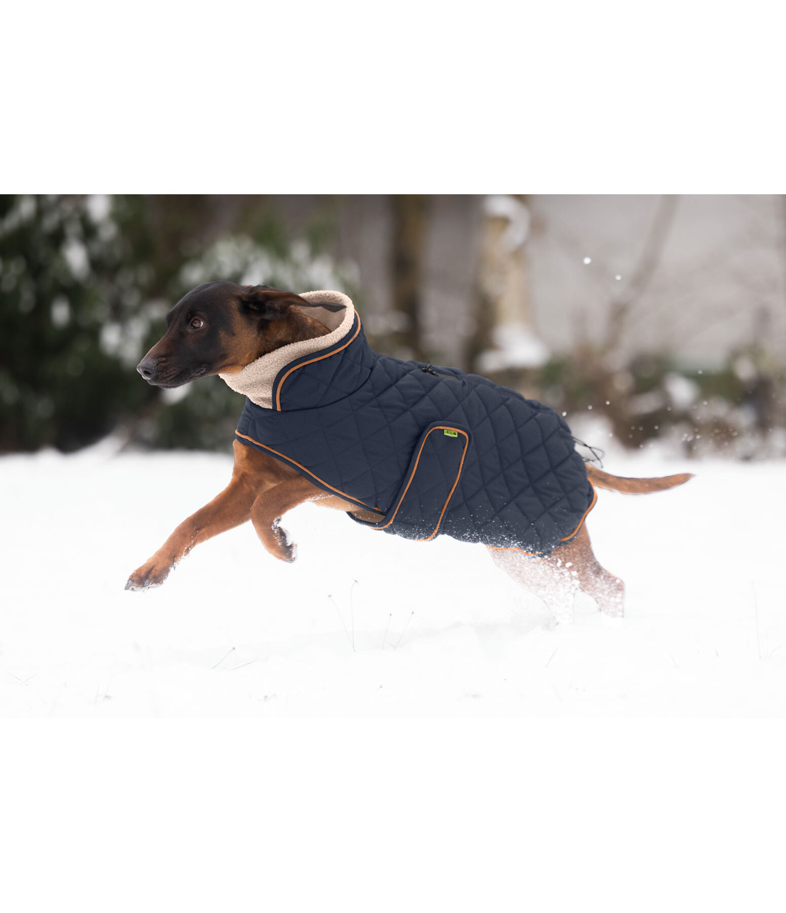 gewatteerde hondenmantel met teddyfleece voering Holly