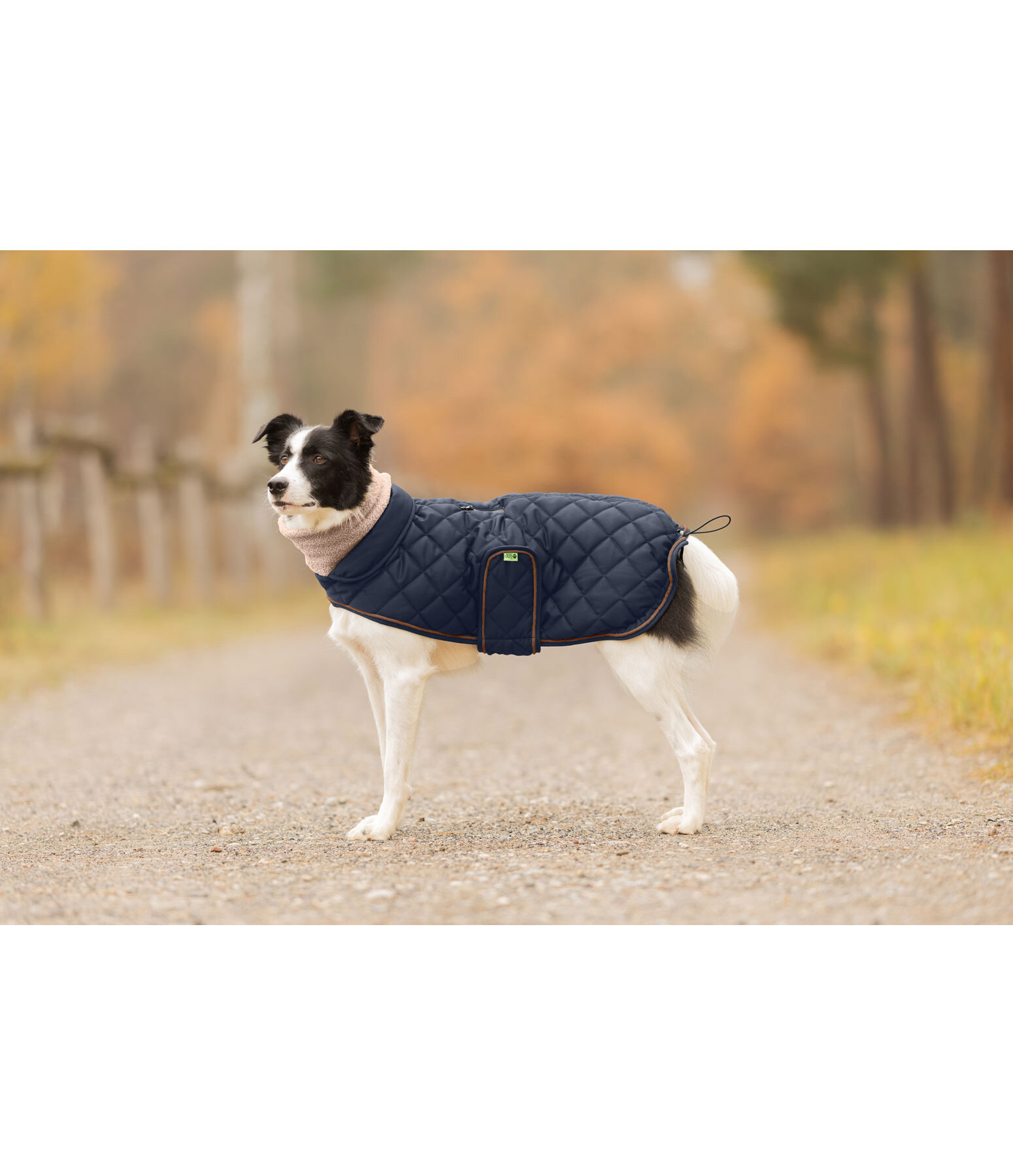 gewatteerde hondenmantel met teddyfleece voering Holly