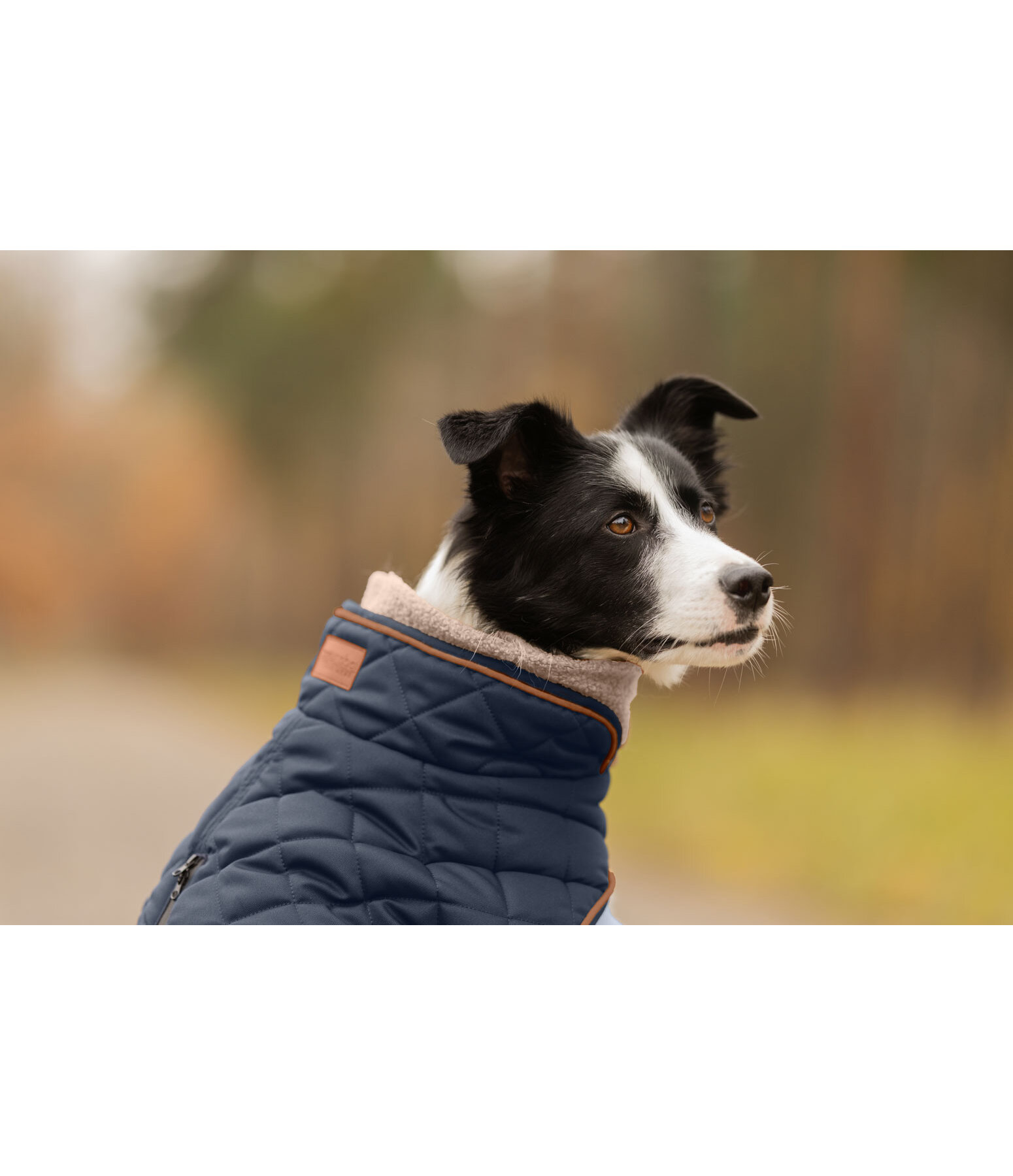 gewatteerde hondenmantel met teddyfleece voering Holly