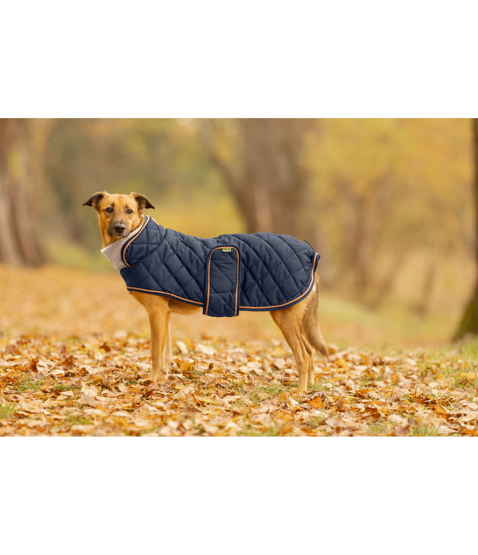 gewatteerde hondenmantel met teddyfleece voering Holly