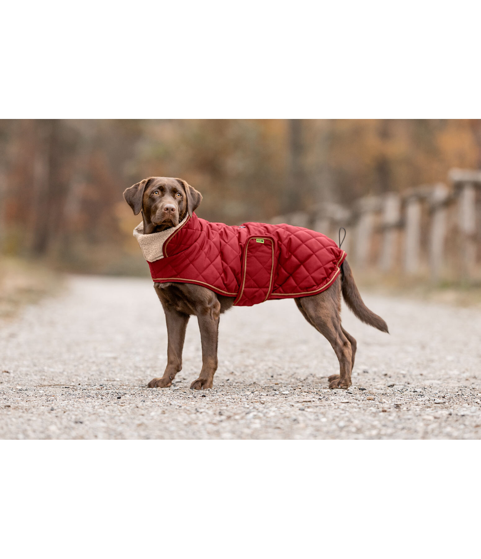gewatteerde hondenmantel met teddyfleece voering Holly