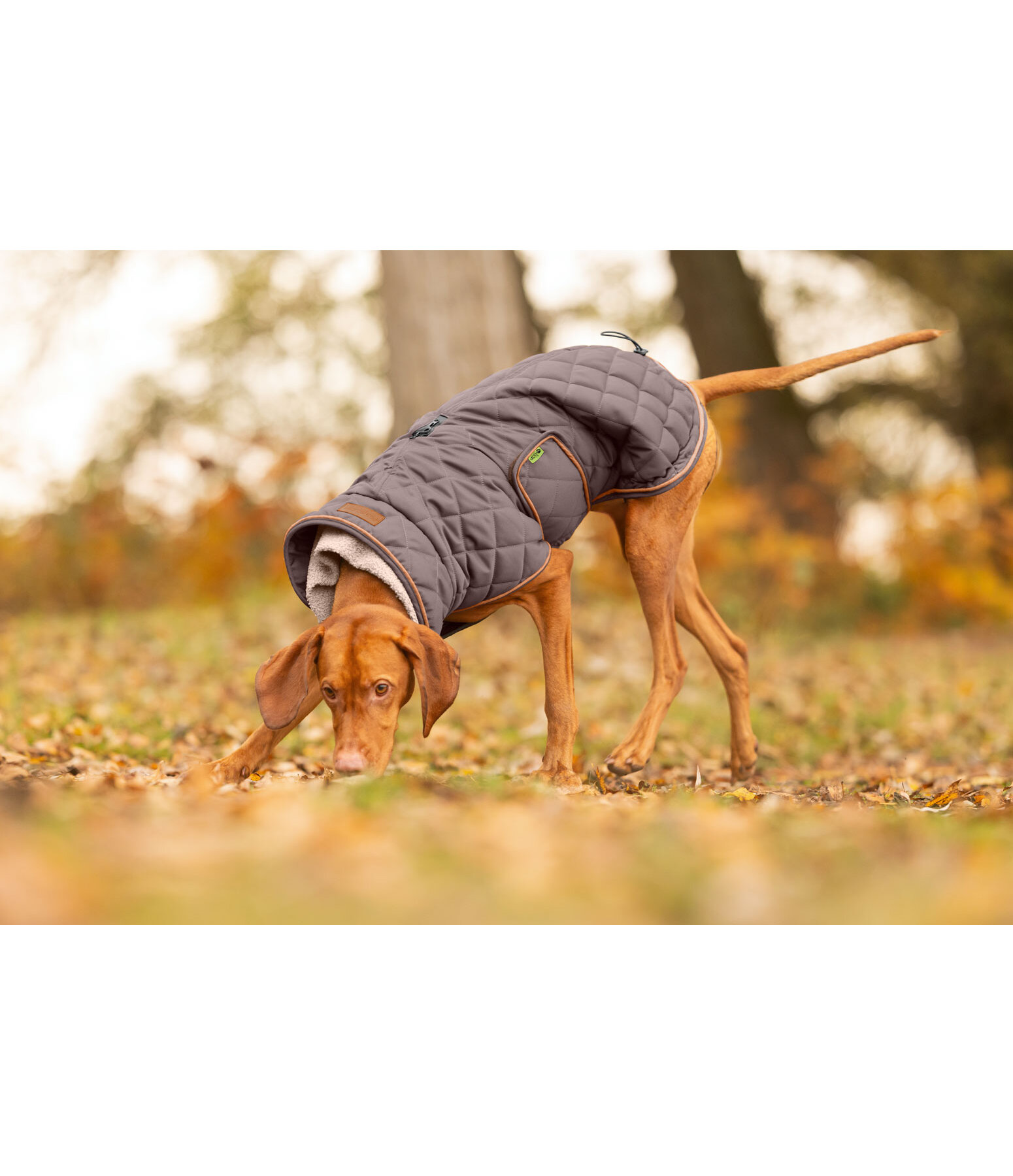 gewatteerde hondenmantel met teddyfleece voering Holly