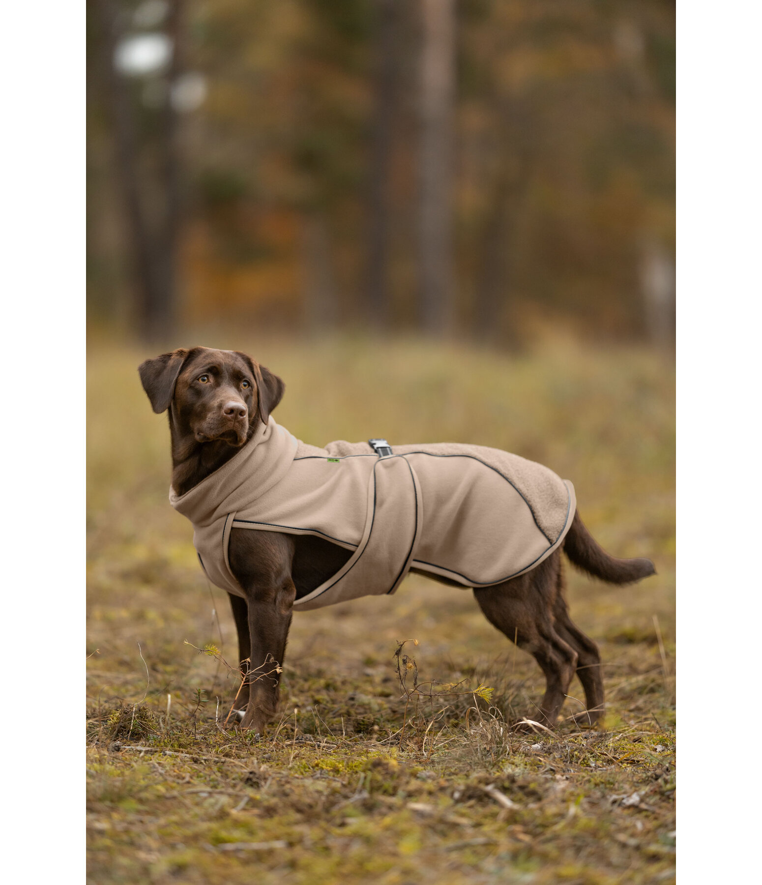 teddyfleece hondenmantel Frido