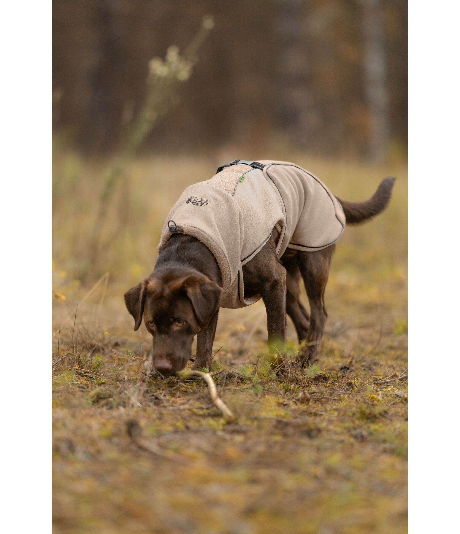 teddyfleece hondenmantel Frido