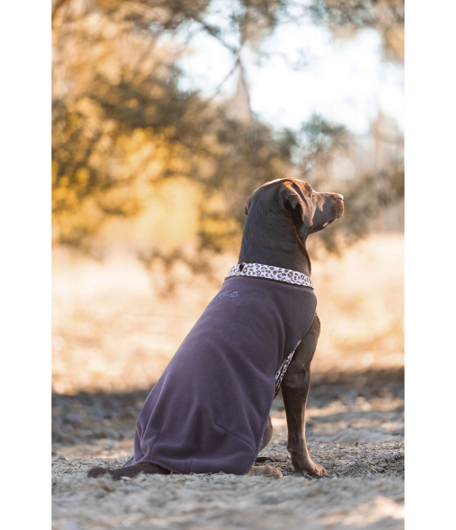 honden ondertrek- en fleecetrui Basic