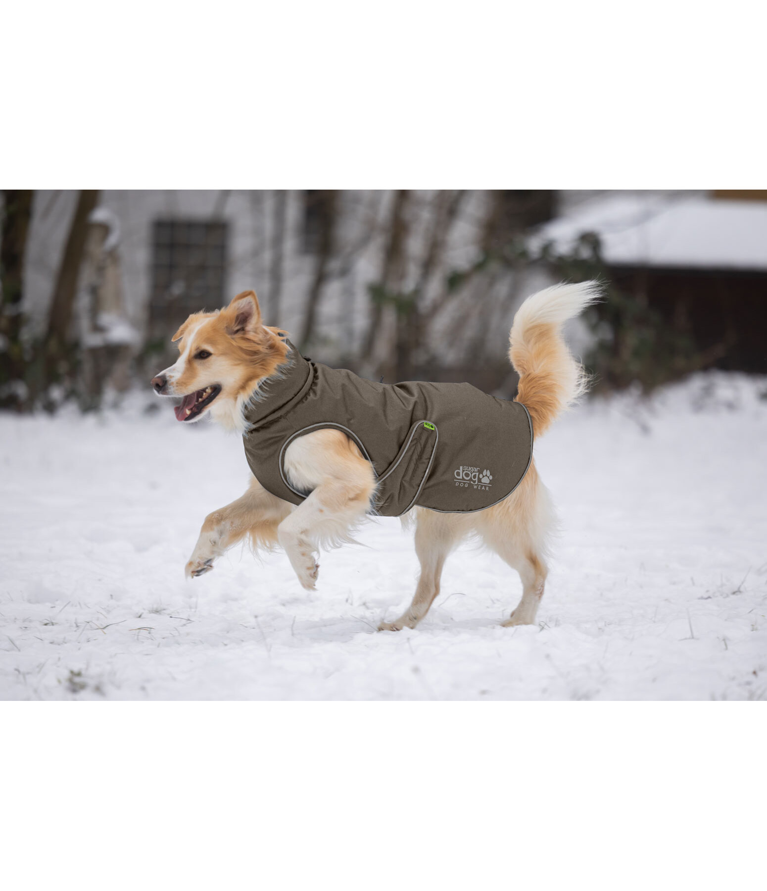 winterhondenmantel Archie Snow Drift, 200 g