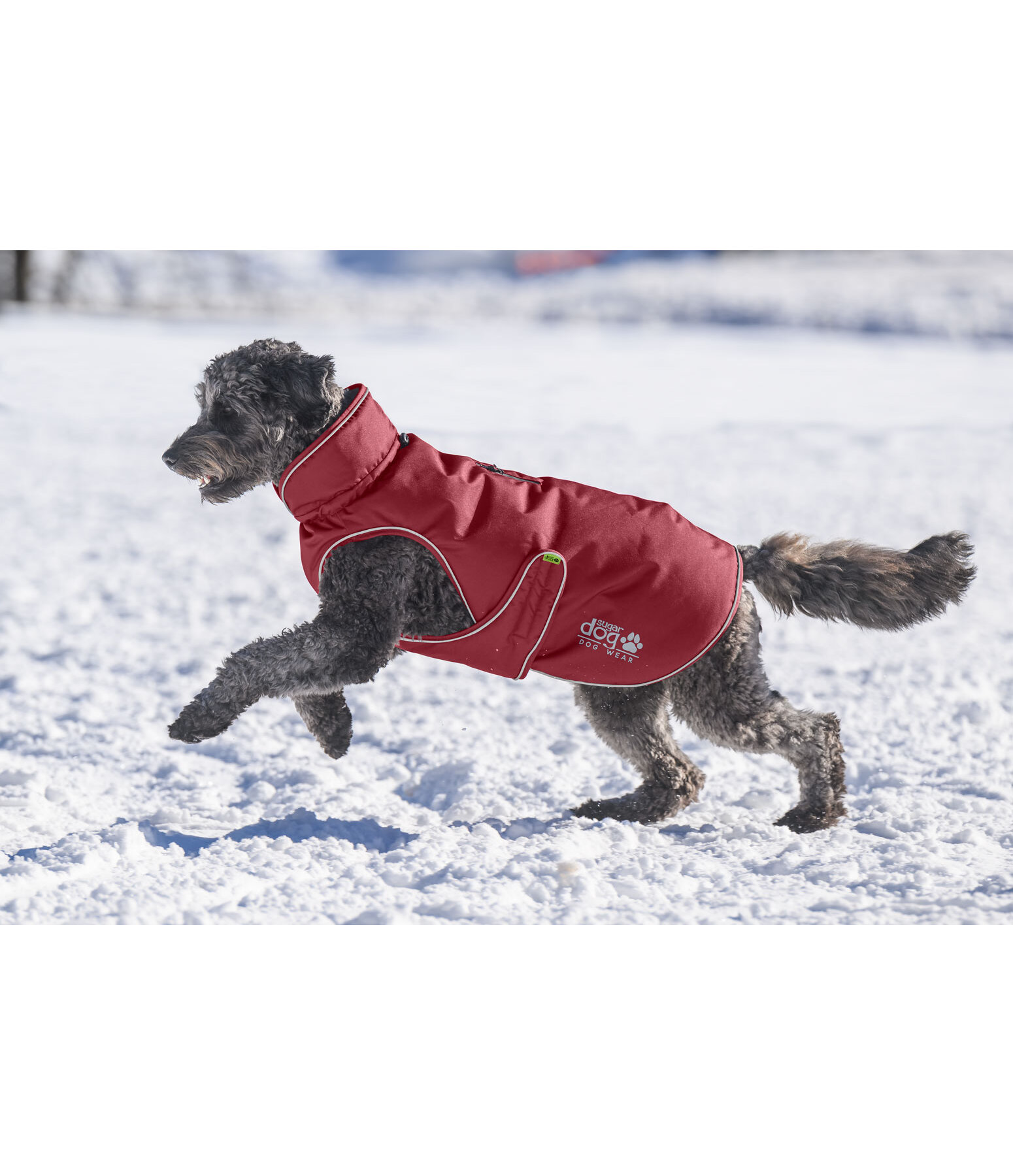 winterhondenmantel Archie Snow Drift, 200 g