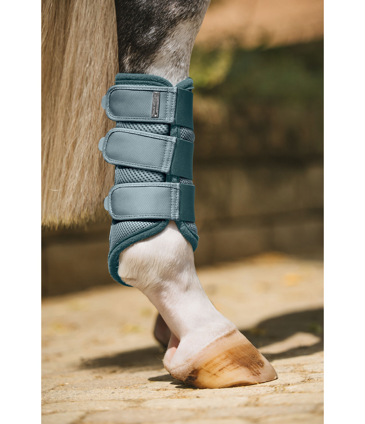 peesbeschermers Swiss Design, achterbenen