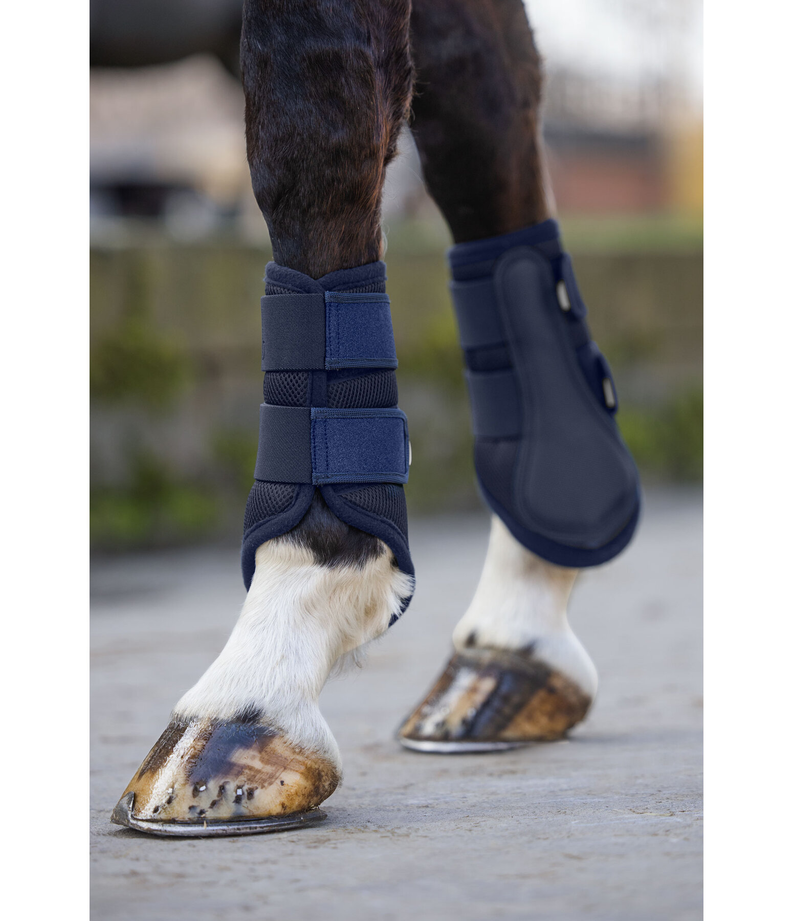 Mesh peesbeschermers Glitter, voorbenen