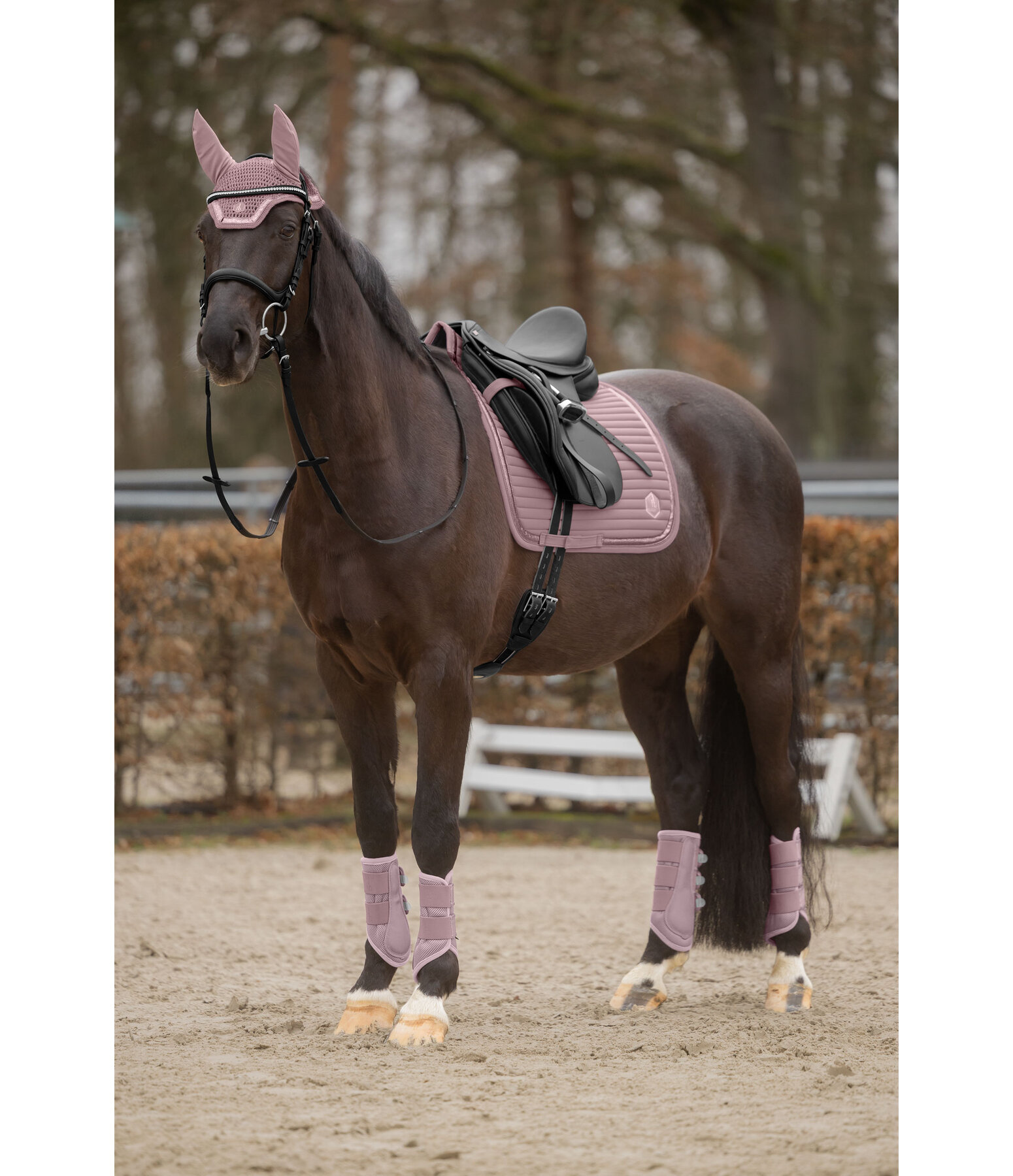 Mesh peesbeschermers Glitter, achterbenen