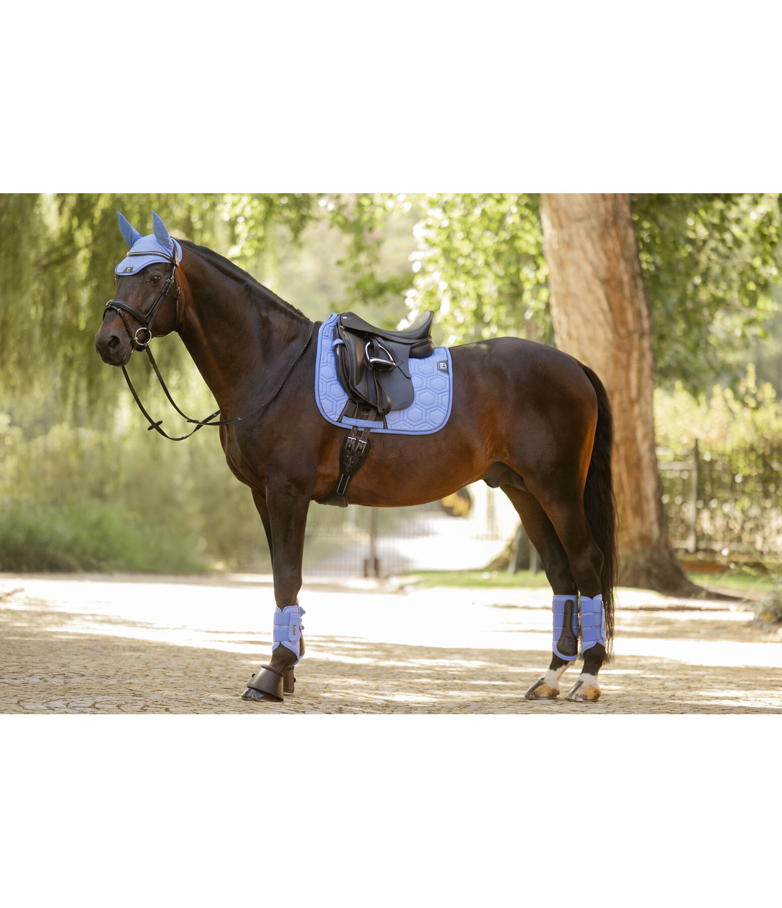 functionele peesbeschermers Mesh Technology (voorbenen)