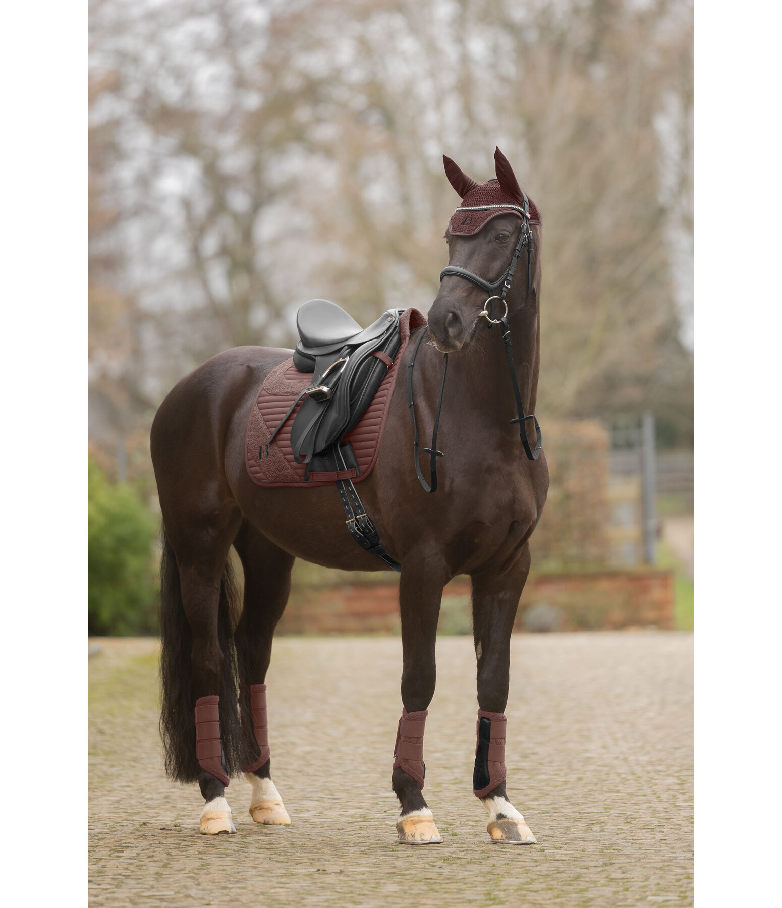 teddy peesbeschermers voorbenen