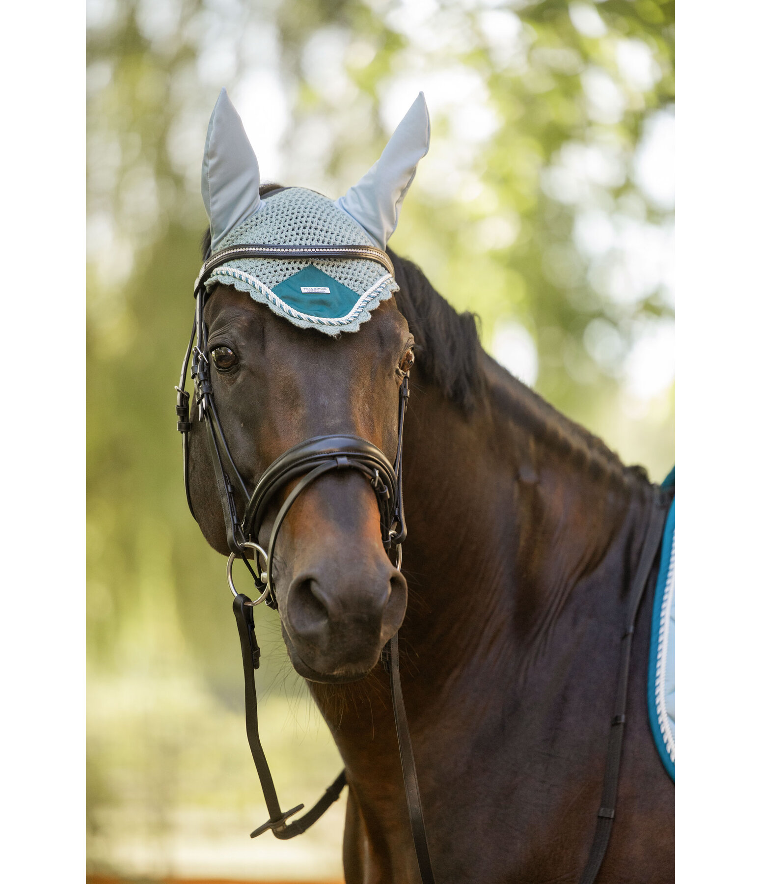 oornetje Swiss Design