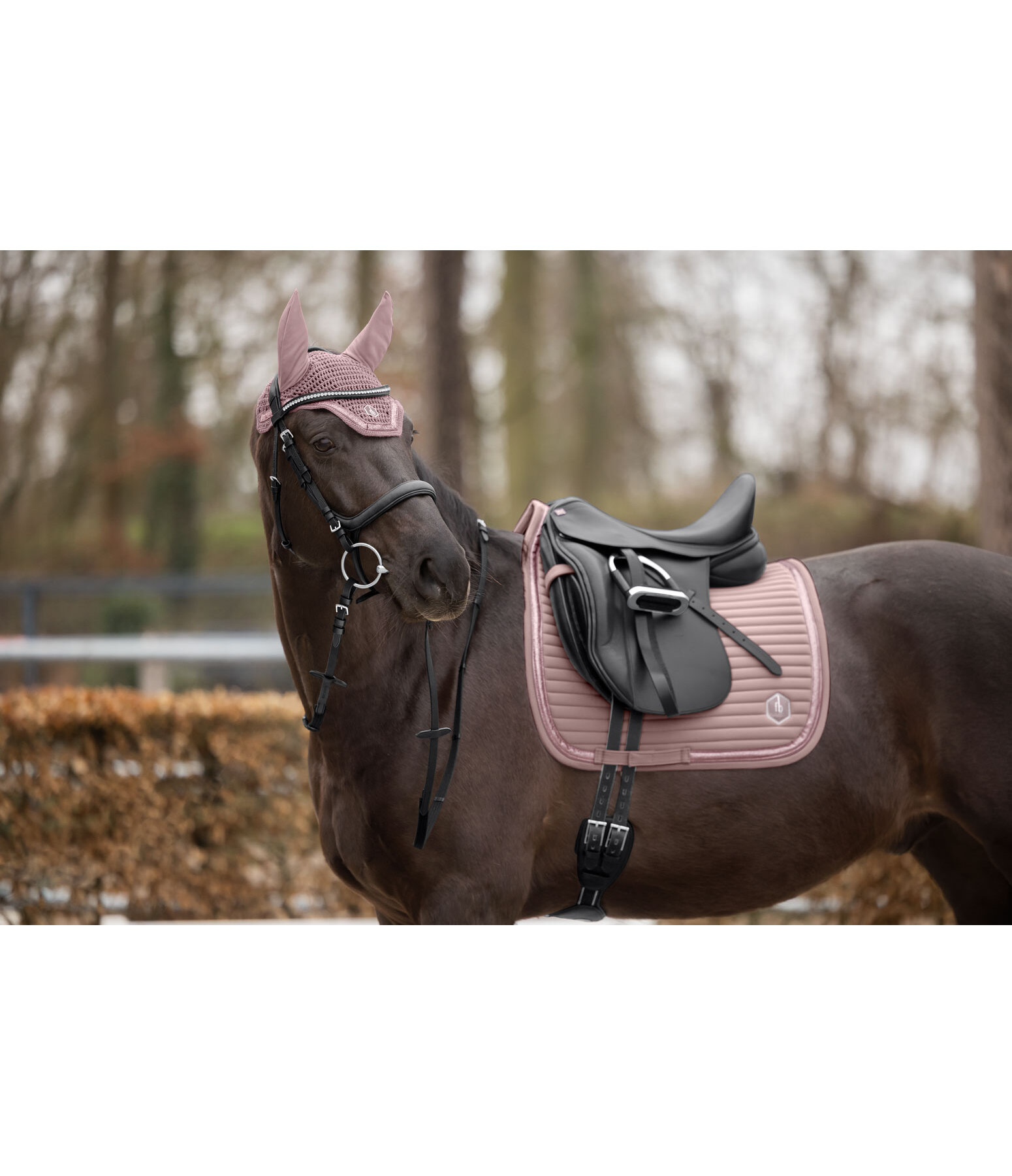 oornetje Glitter