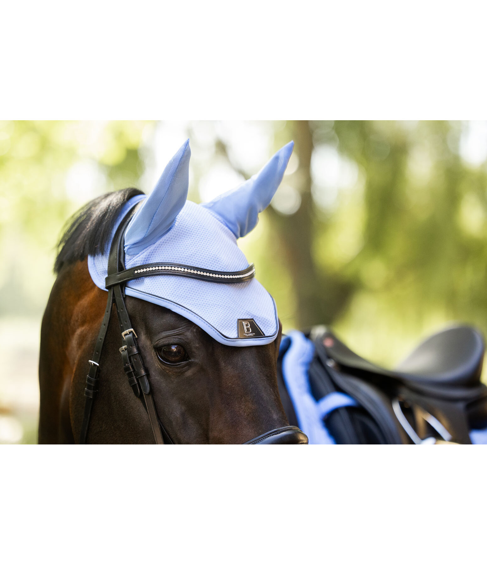 oornetje Mesh-technologie