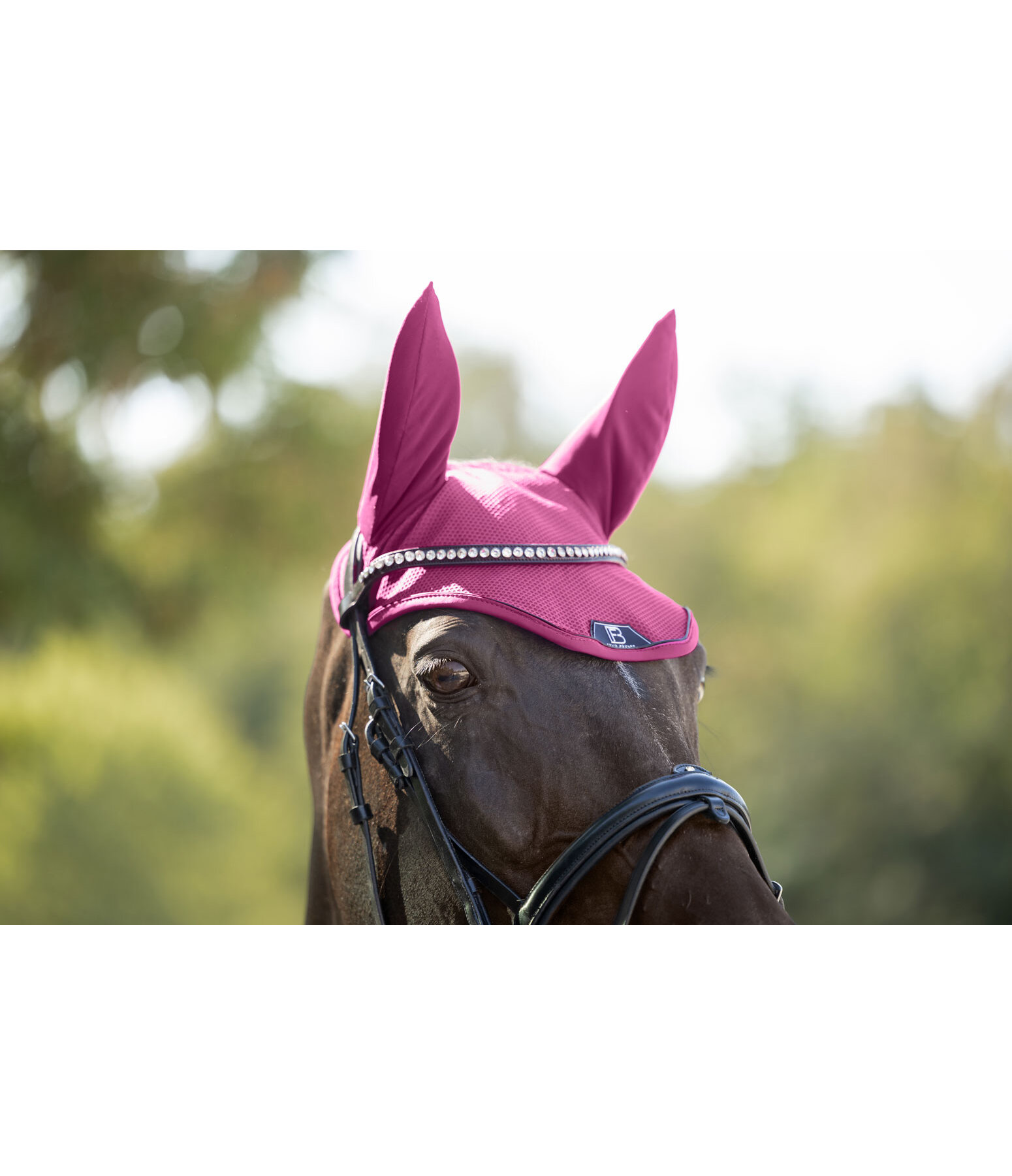 oornetje Mesh-technologie