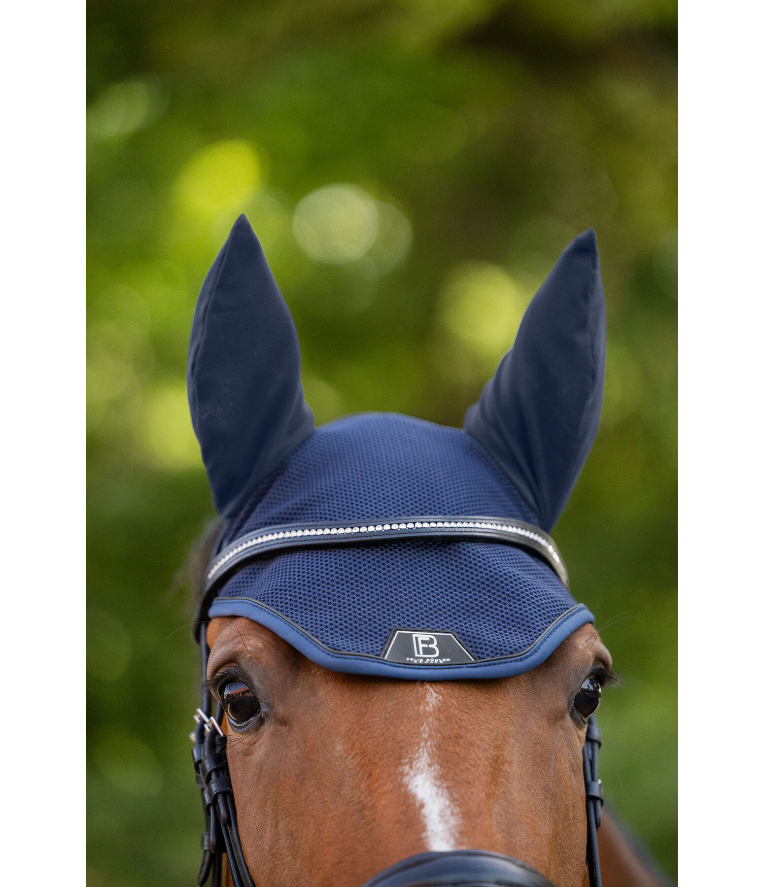 oornetje Mesh-technologie