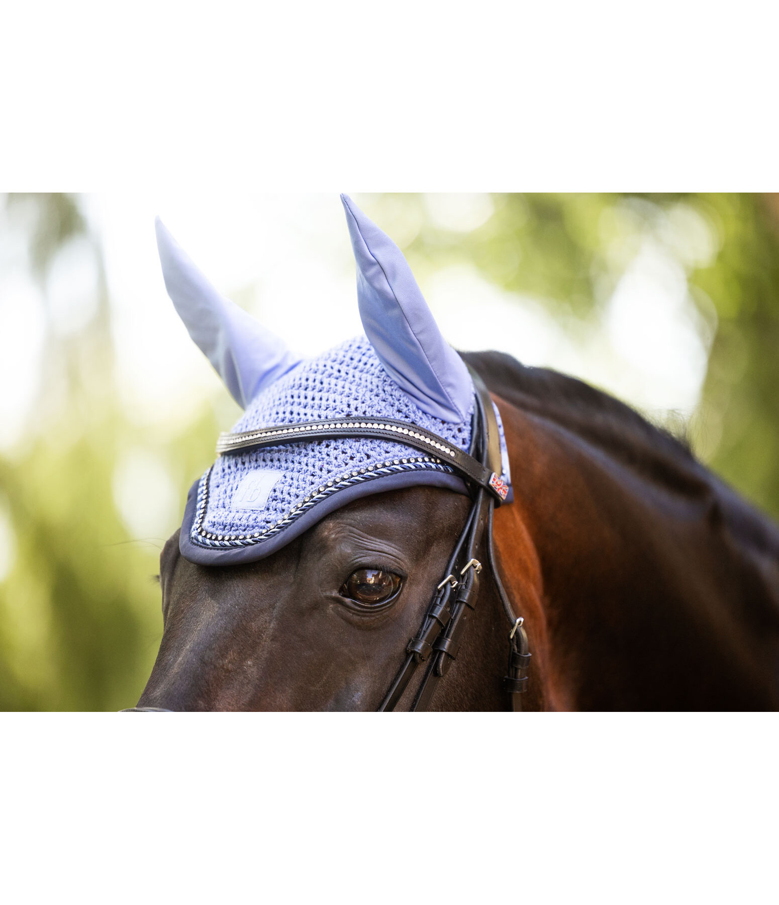 oornetje Twotone & Crystal