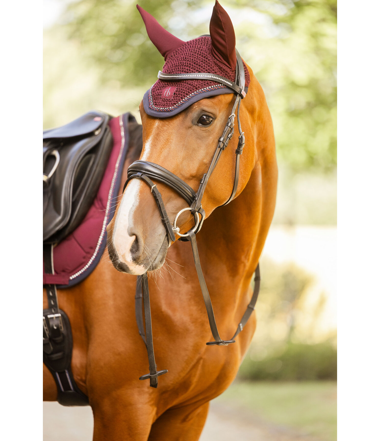 oornetje Twotone & Crystal