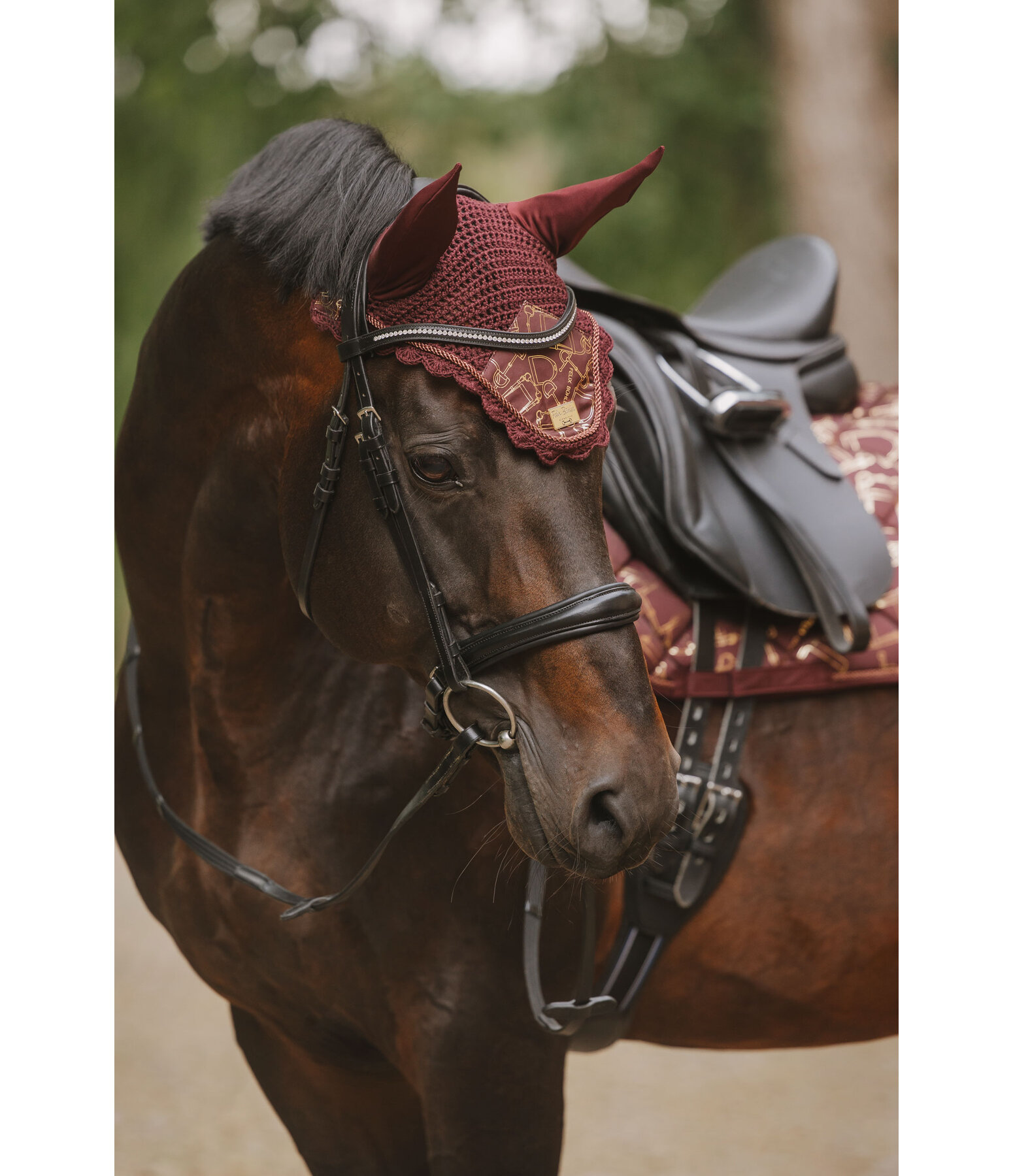 oornetje Signature III