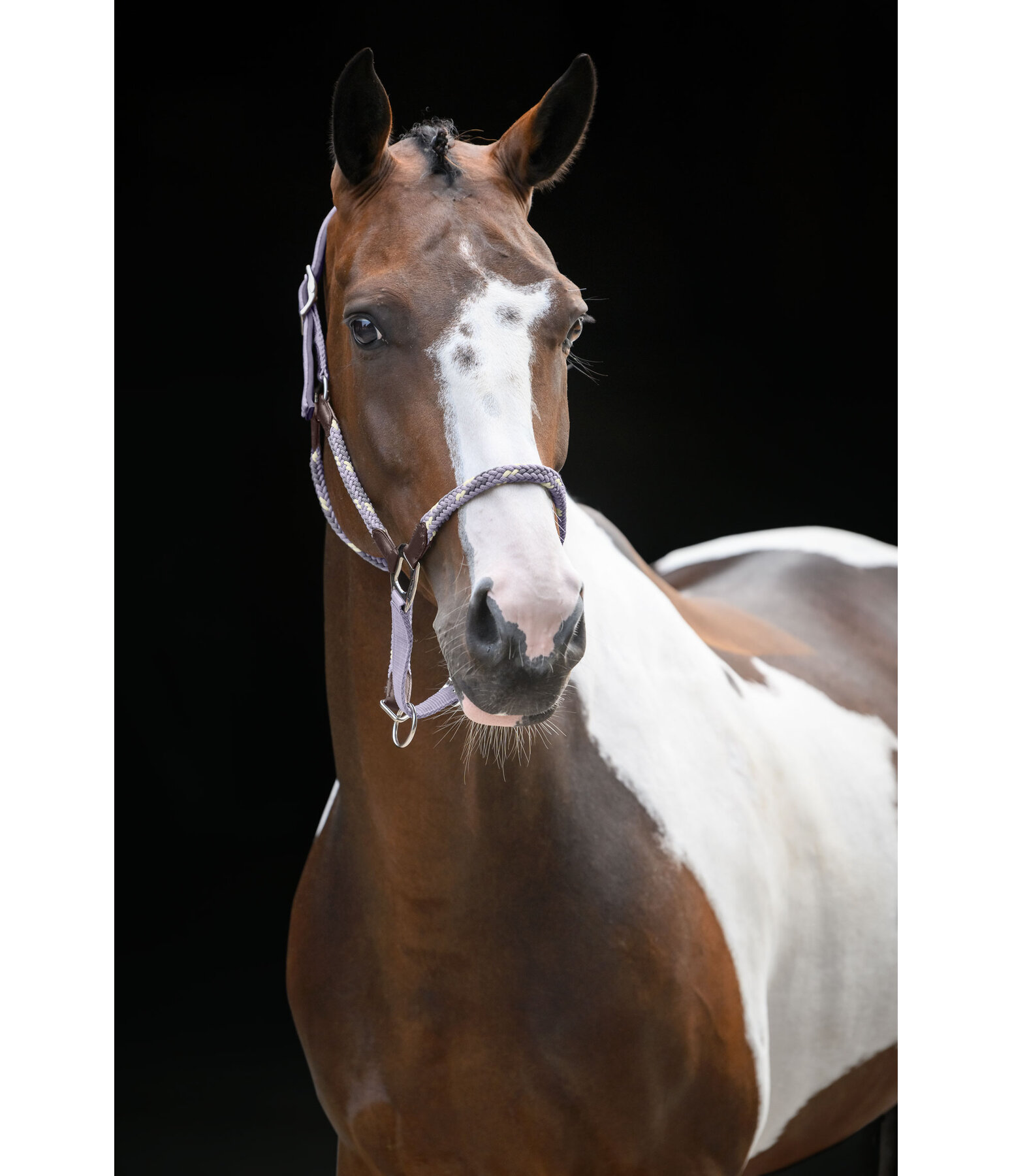 anatomisch halster Sophistication