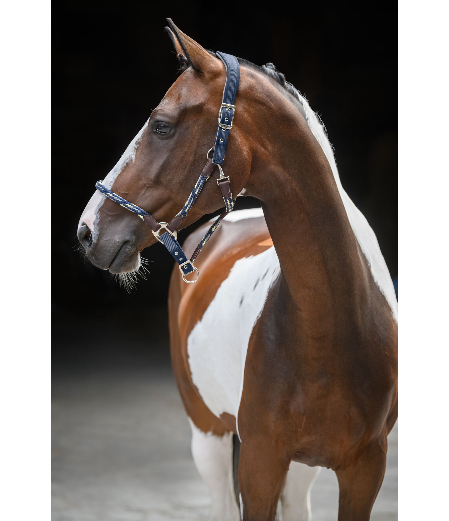anatomisch halster Sophistication