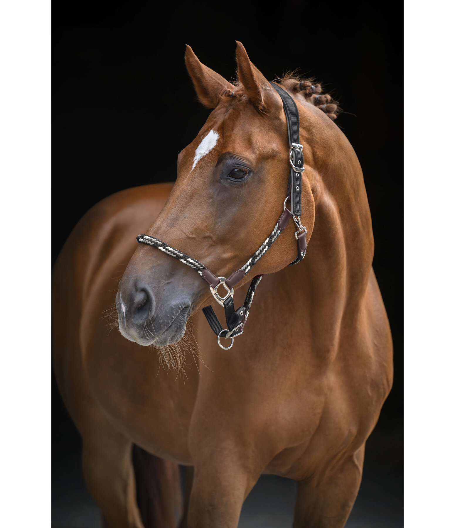 anatomisch halster Sophistication