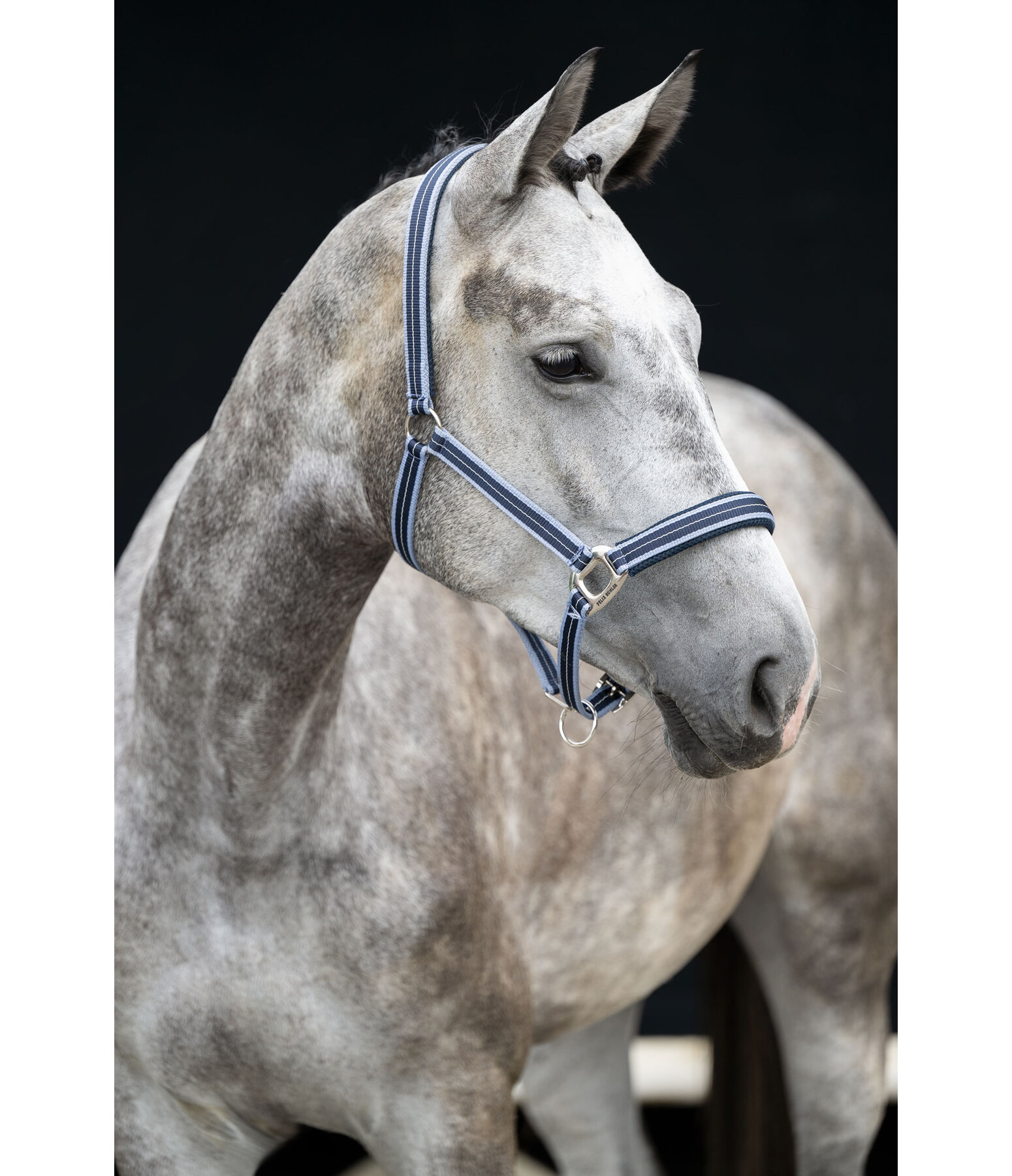 halster Swiss Design II